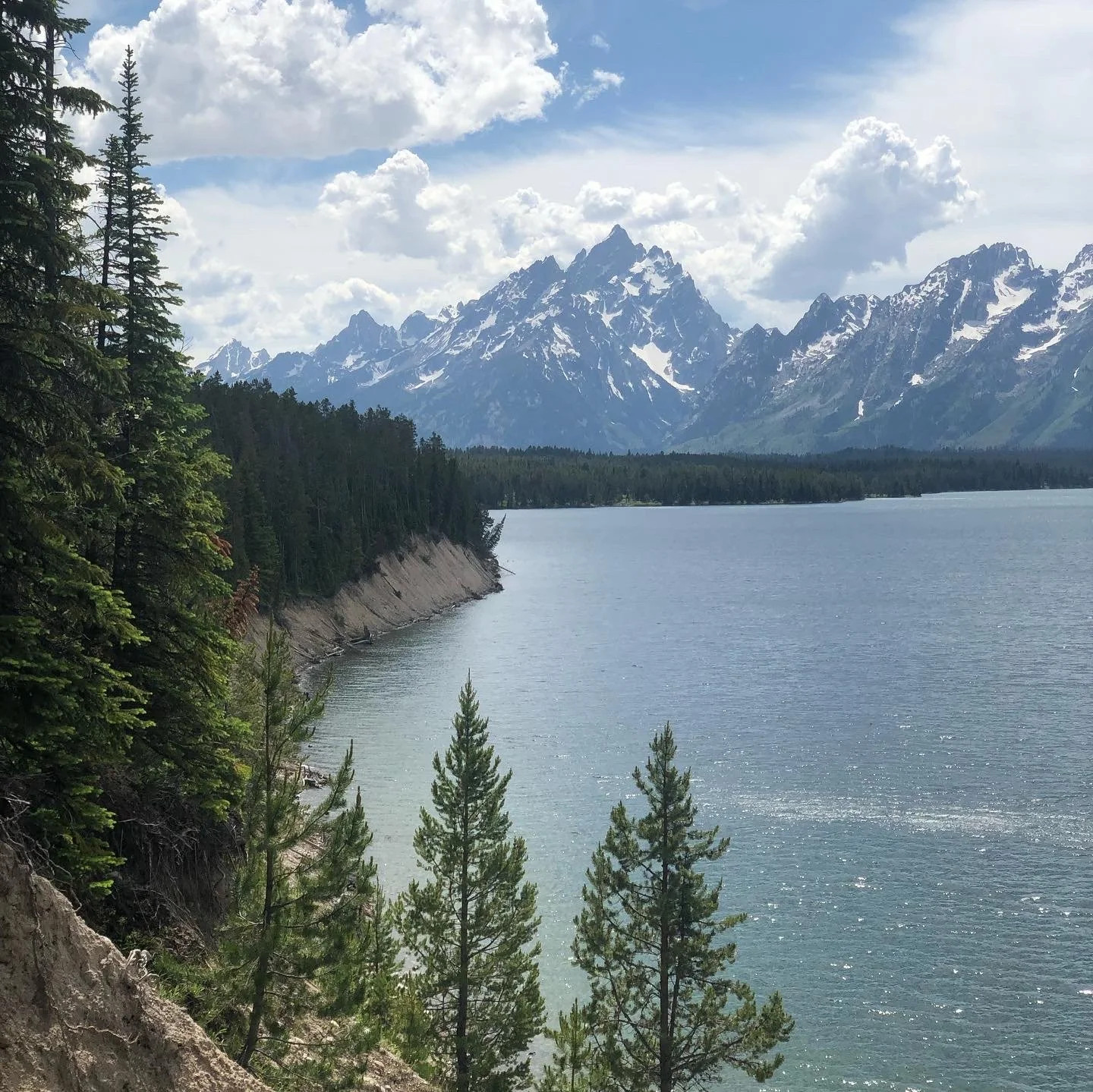 Yellowstone & Tetons