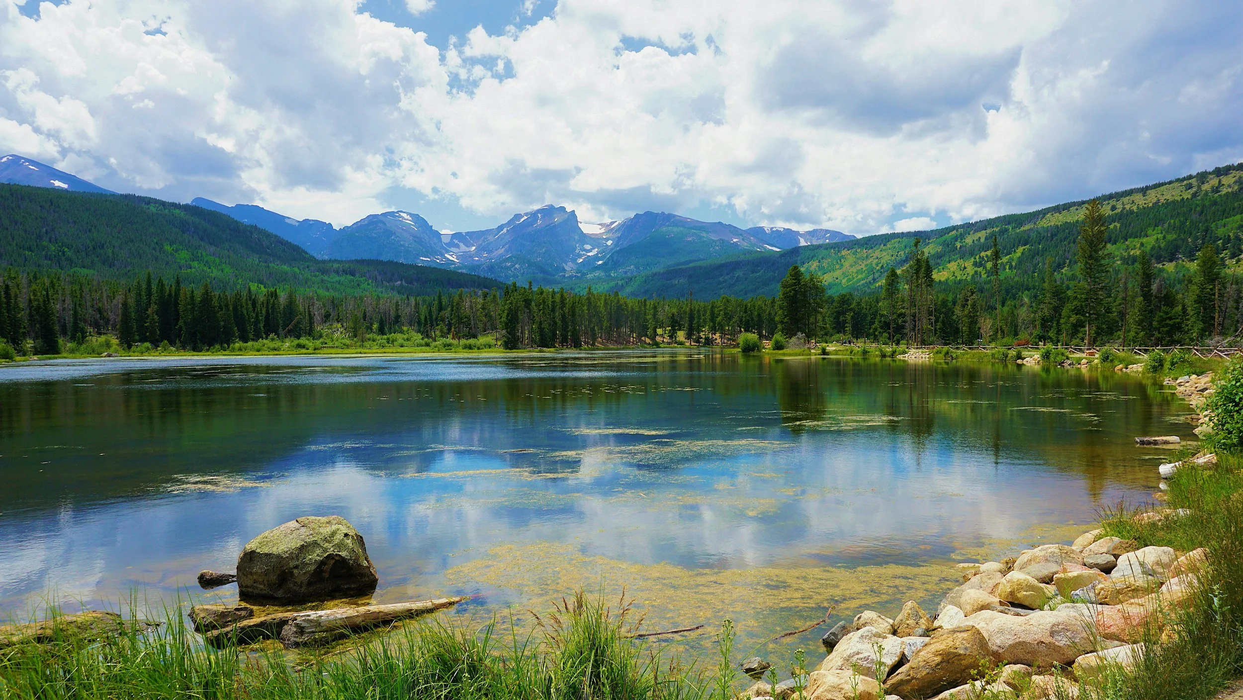 Scenic view of a mountain range with snow patches, a dense pine forest, and a lake reflecting the cloudy sky, surrounded by rocks and green grass.