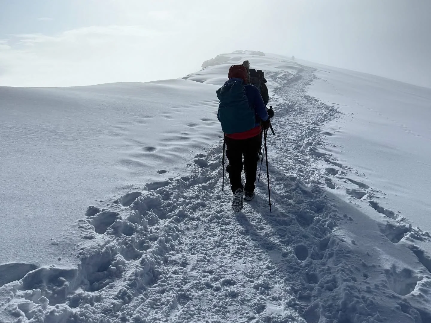 Group of people hiking on a snow-covered mountain trail with snowshoes and trekking poles, surrounded by snowy terrain and cloudy sky.