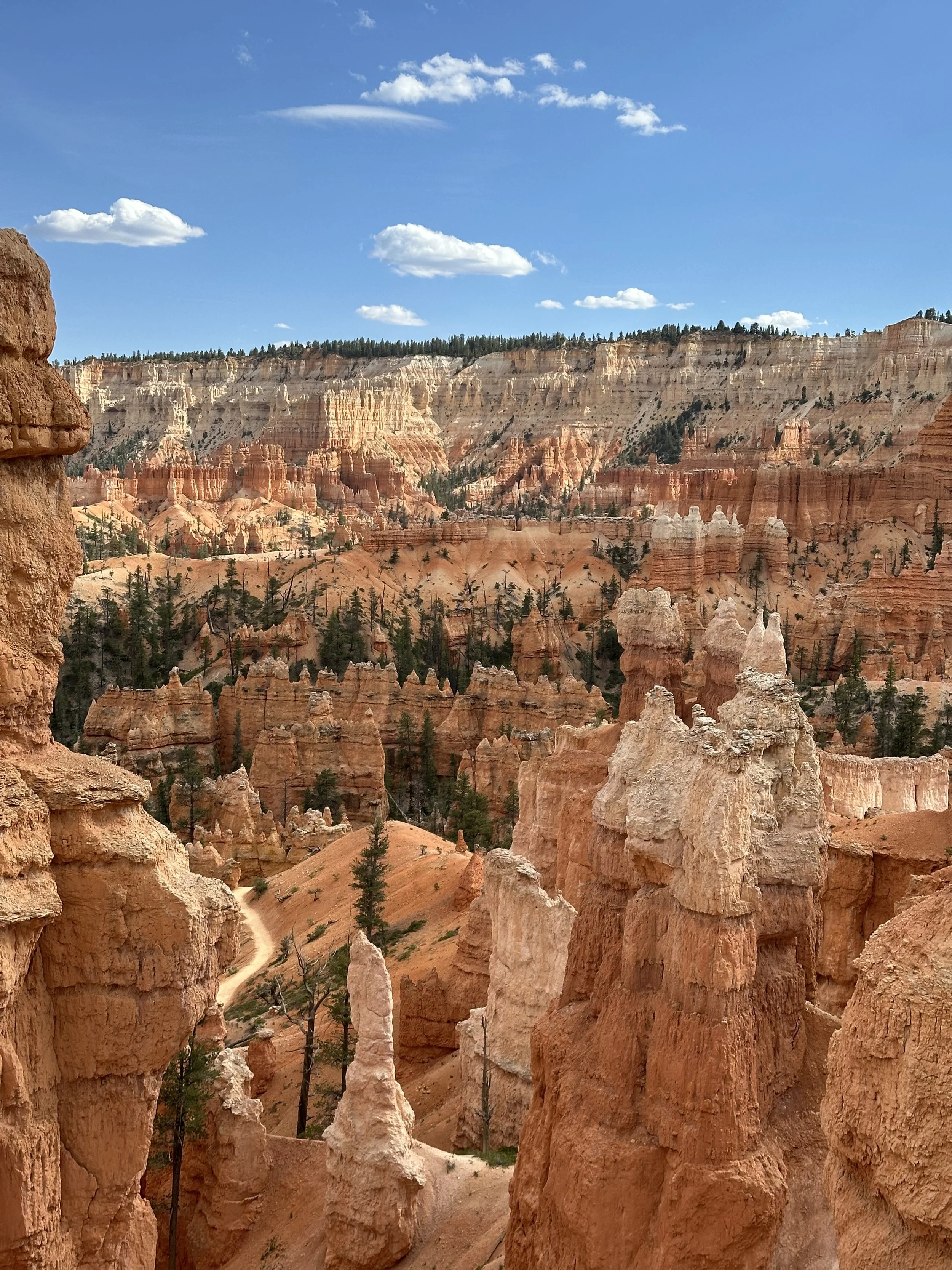 Zion, Bryce & Escalante