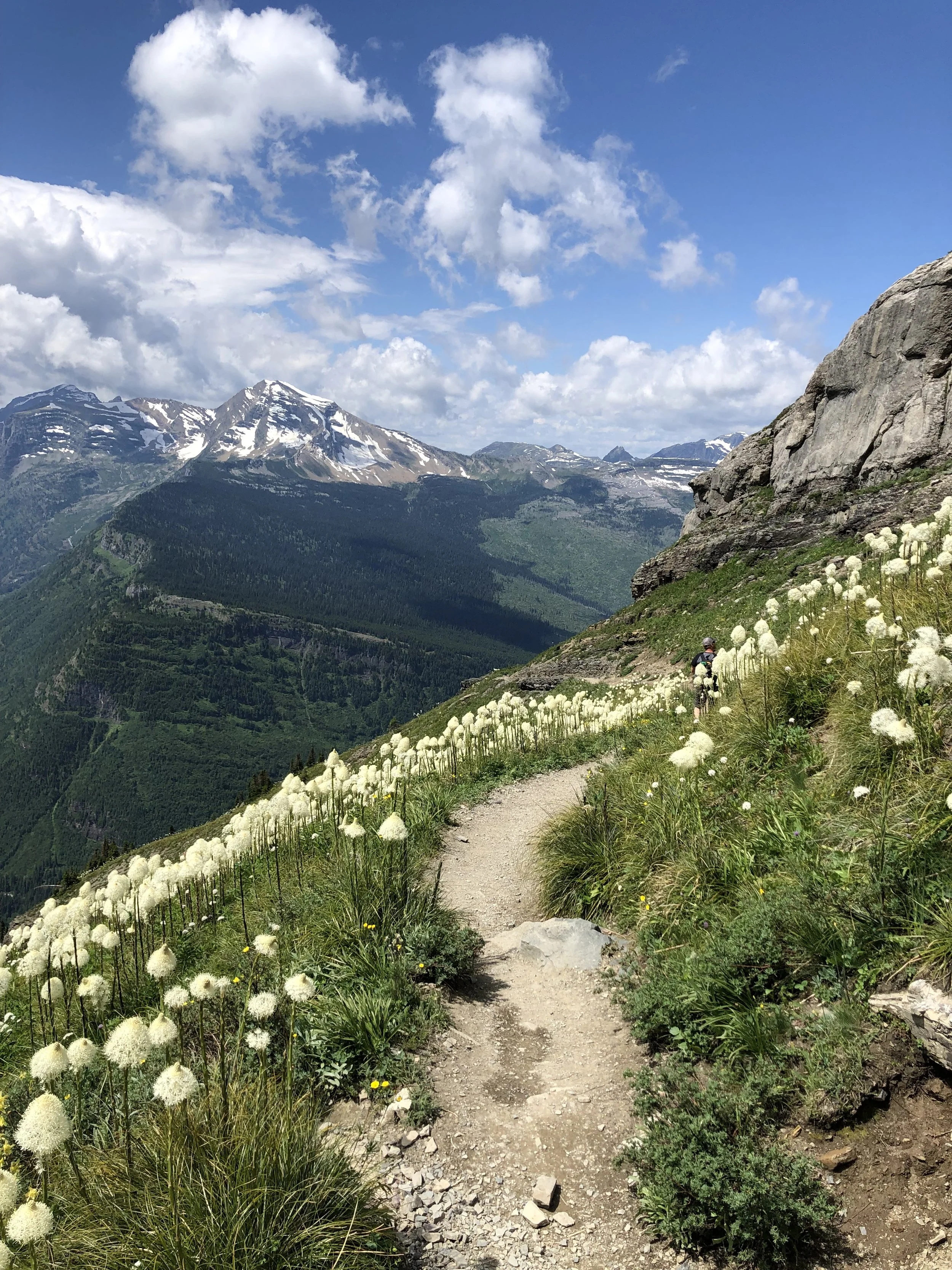 Glacier