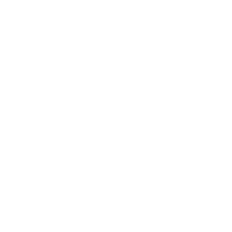 Our Churches