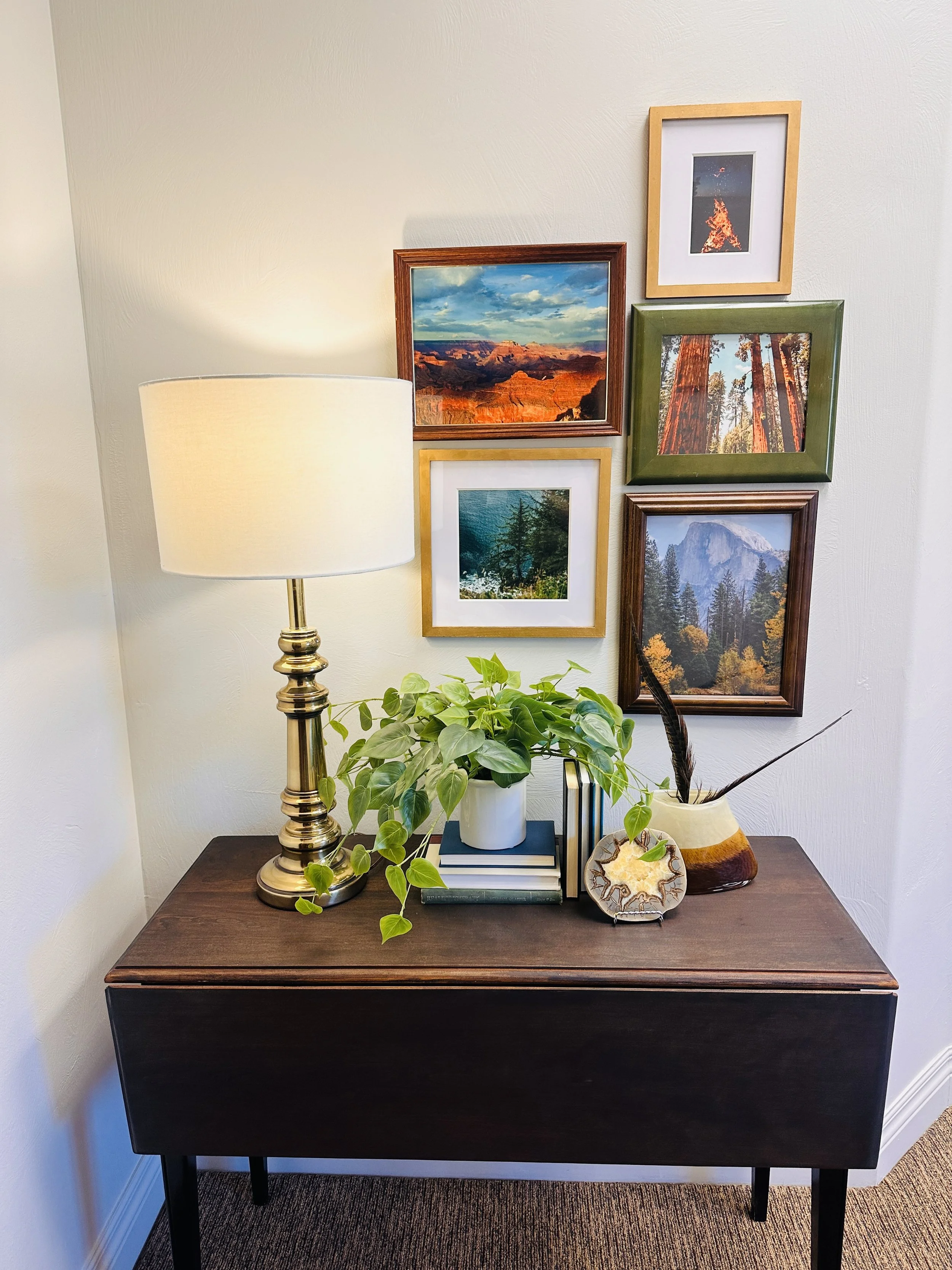 Wood console table with framed nature photography gallery wall above
