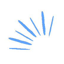 A blue stylized sunburst design.