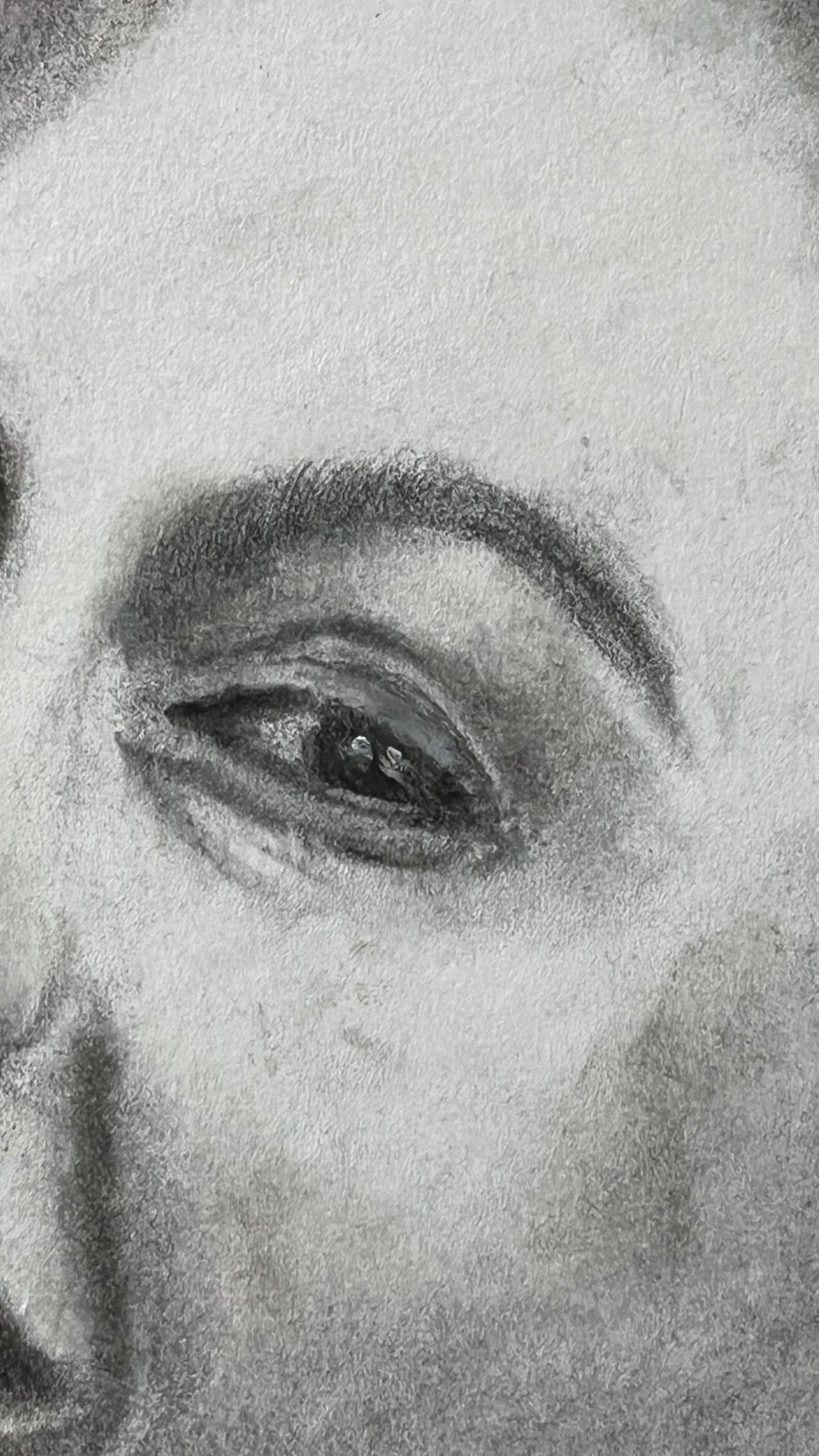 Close-up of one eye showing the fine shading and tonal transitions in She Laughs Anyway.
