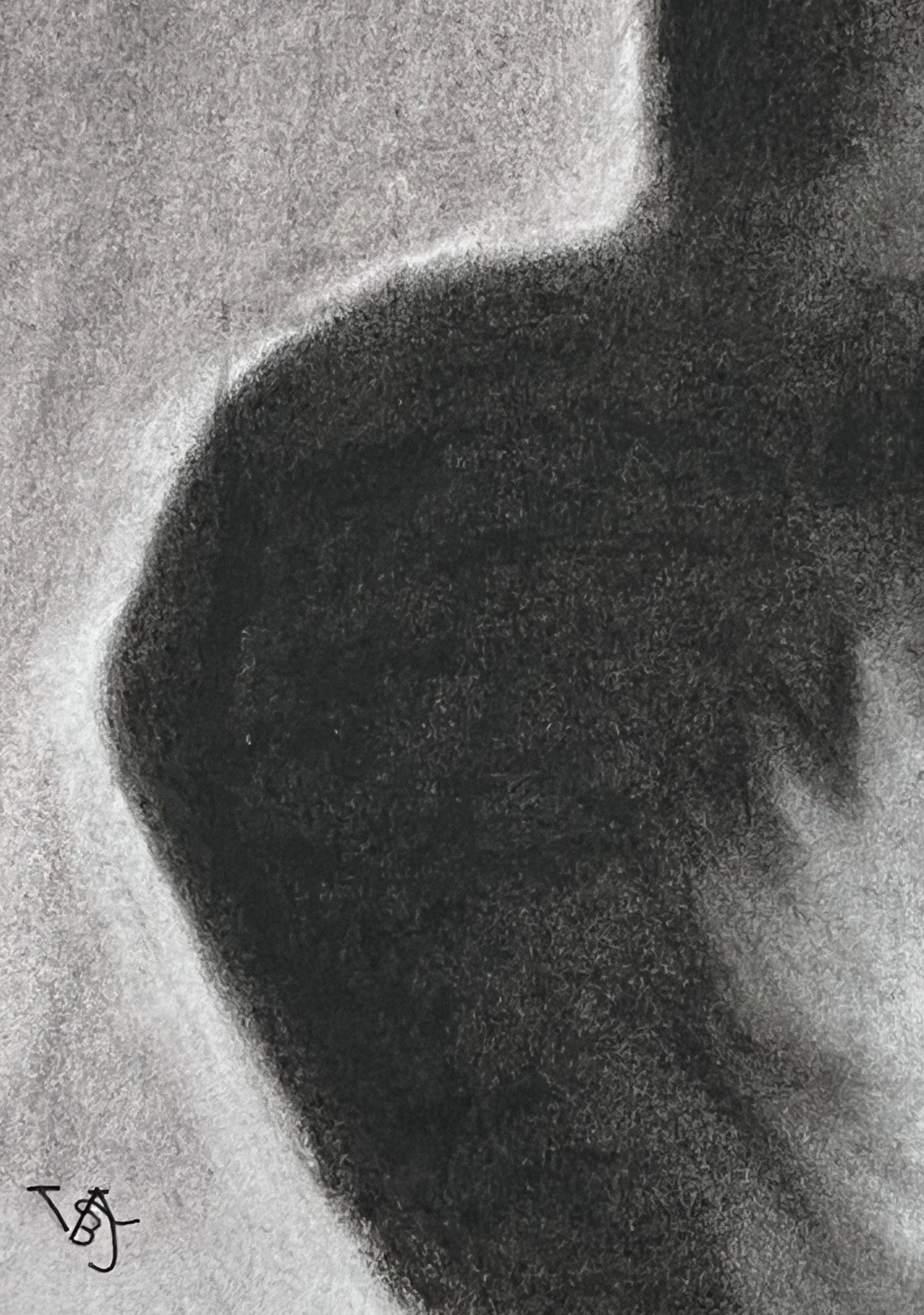 Close-up of the shoulder and deep shadow contrasts in the original portrait She Laughs Anyway.