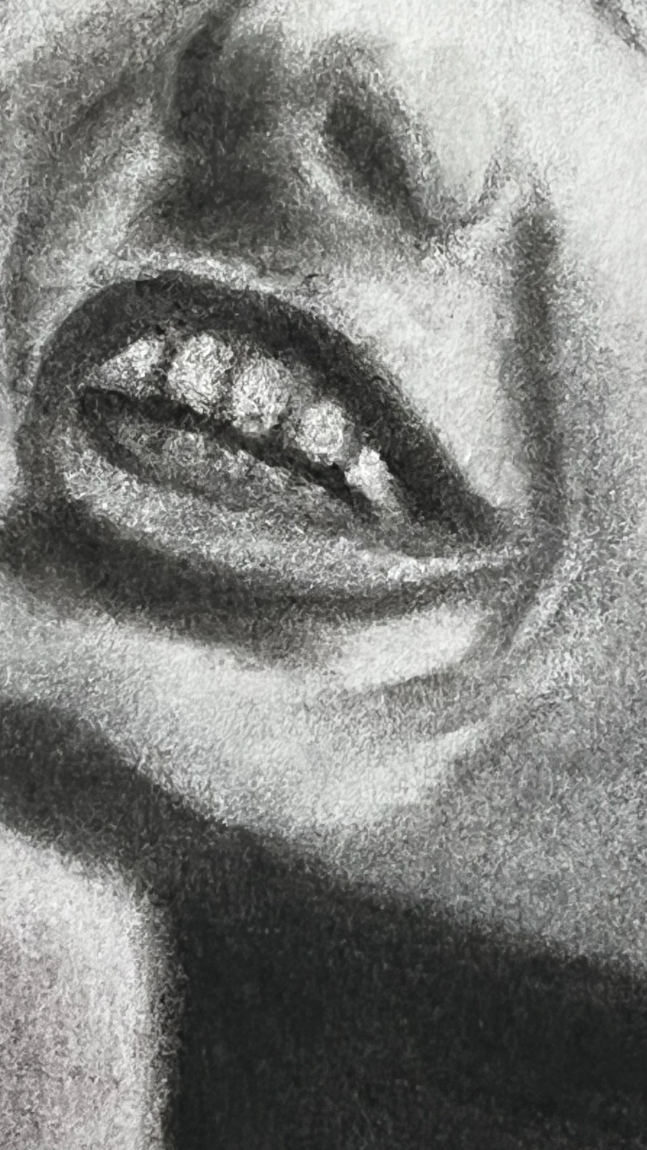 Close-up of the expressive smile and detailed dry-media shading in She Laughs Anyway by Virginie Bergar.