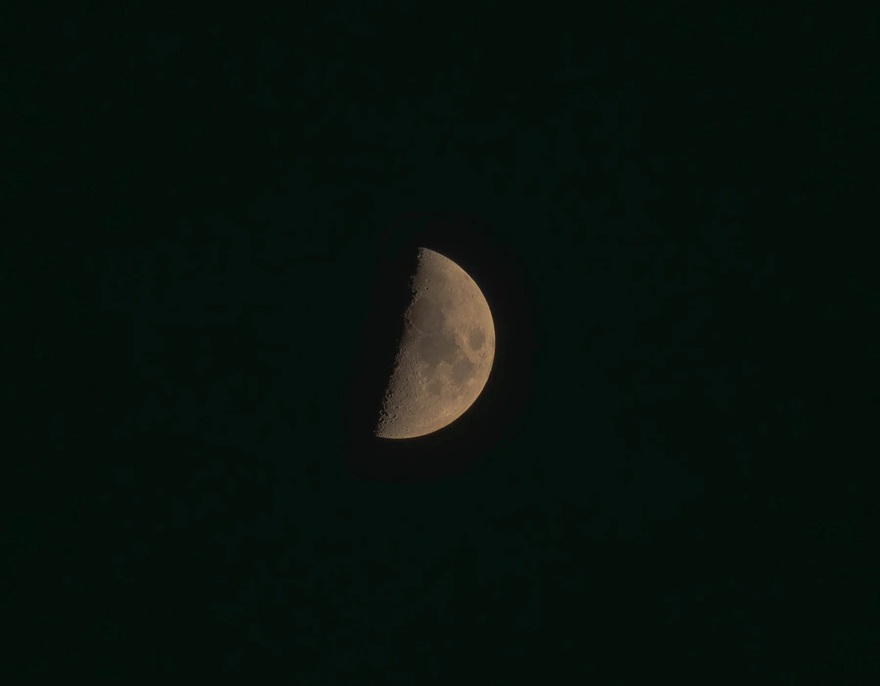 _DSC1643-Enhanced-NR-1.jpg