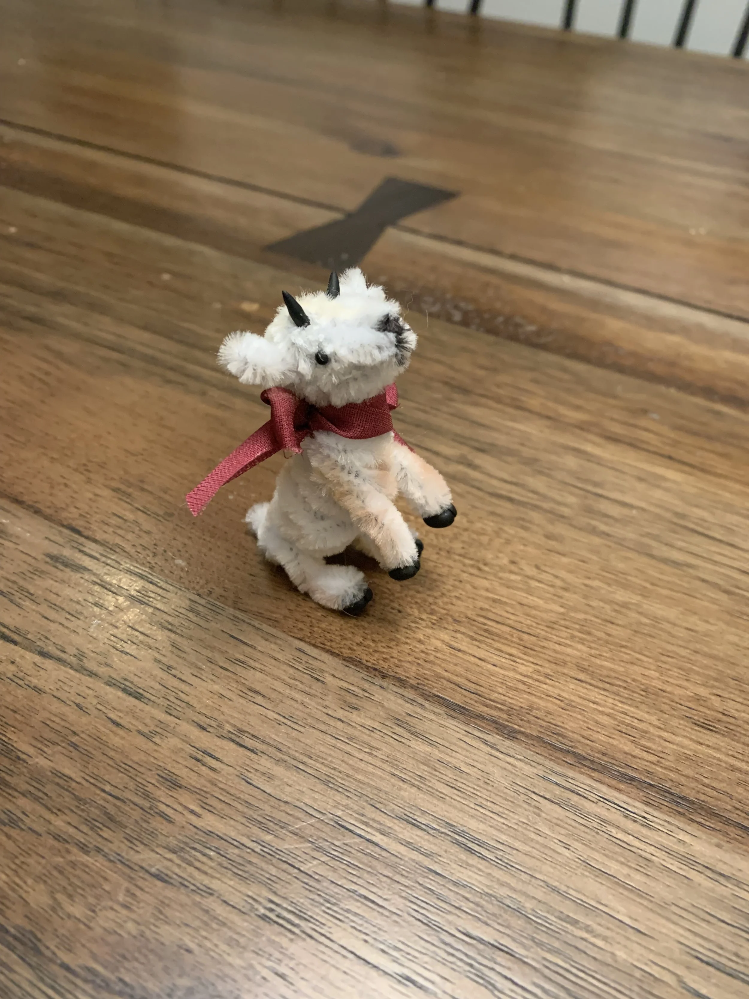 IMG_5668.jpeg