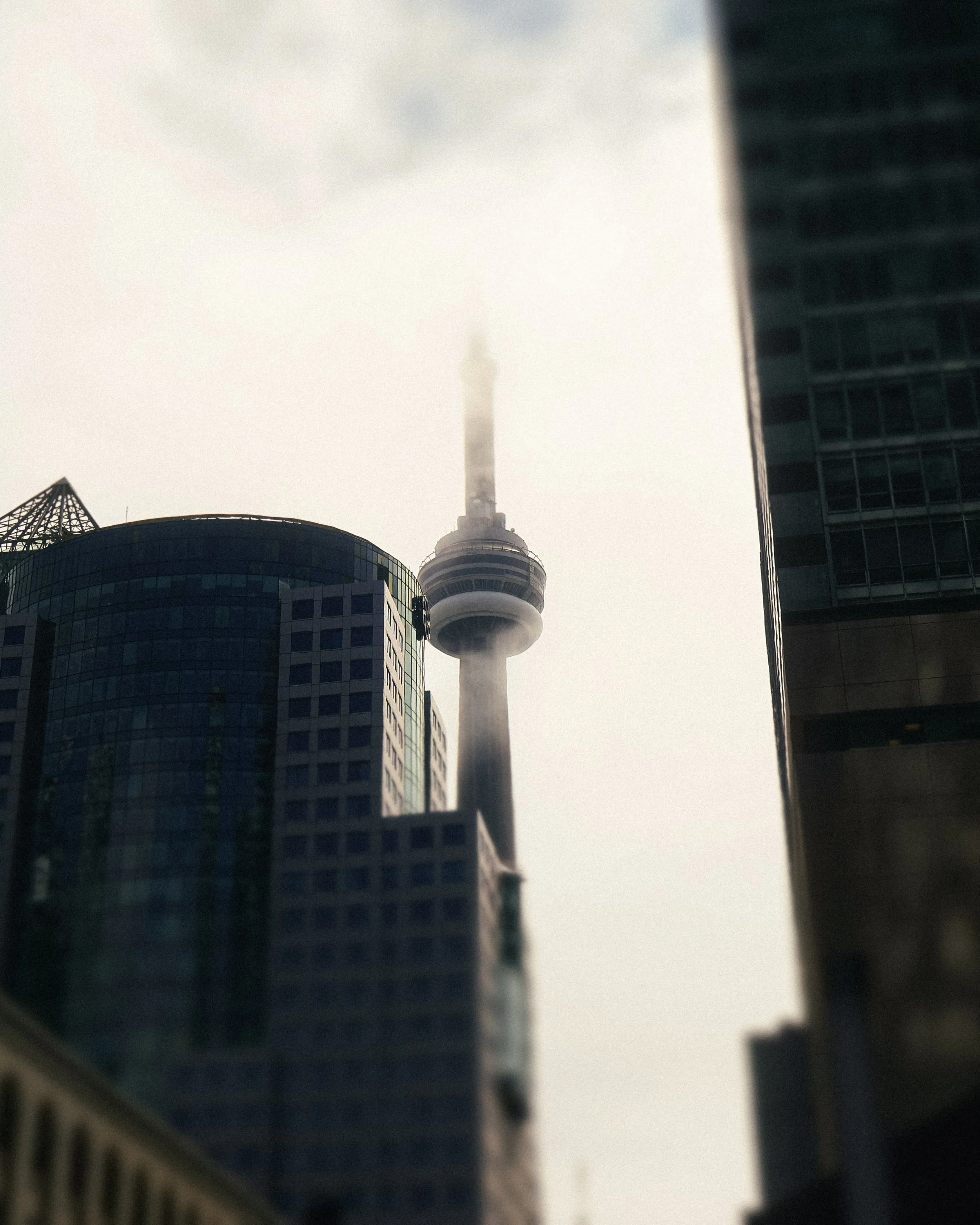IMG_0979 (1).jpg