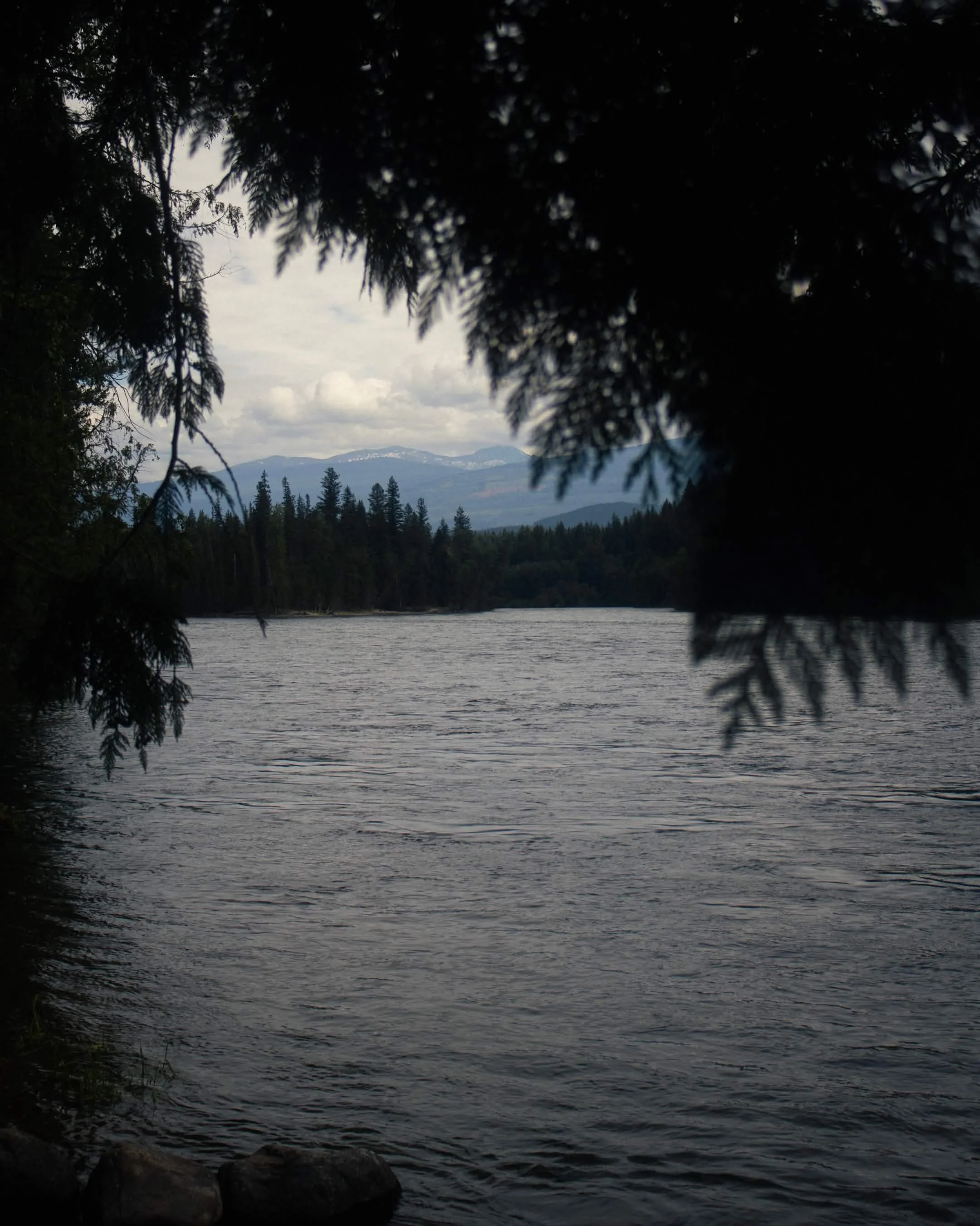 D61EC30A-907C-485B-B4CA-E9CFFB527290.jpg