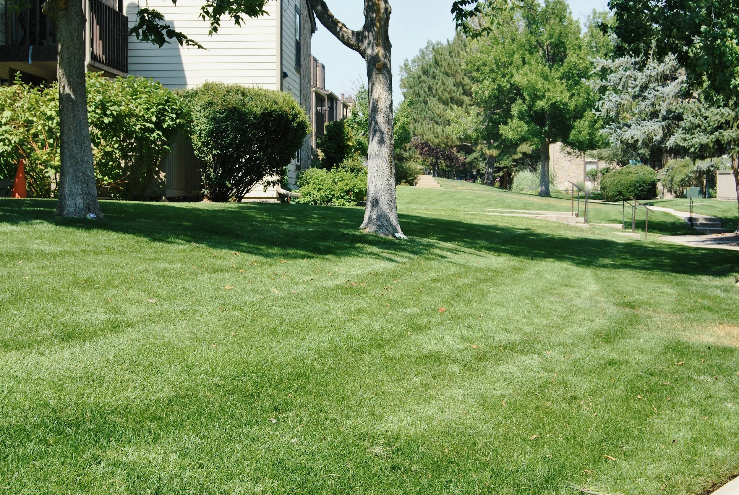 Landscape Services