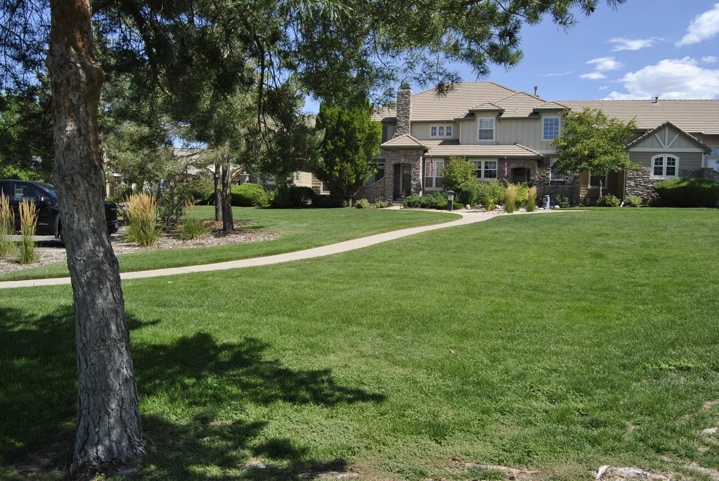 Irrigation Setup & Maintenance