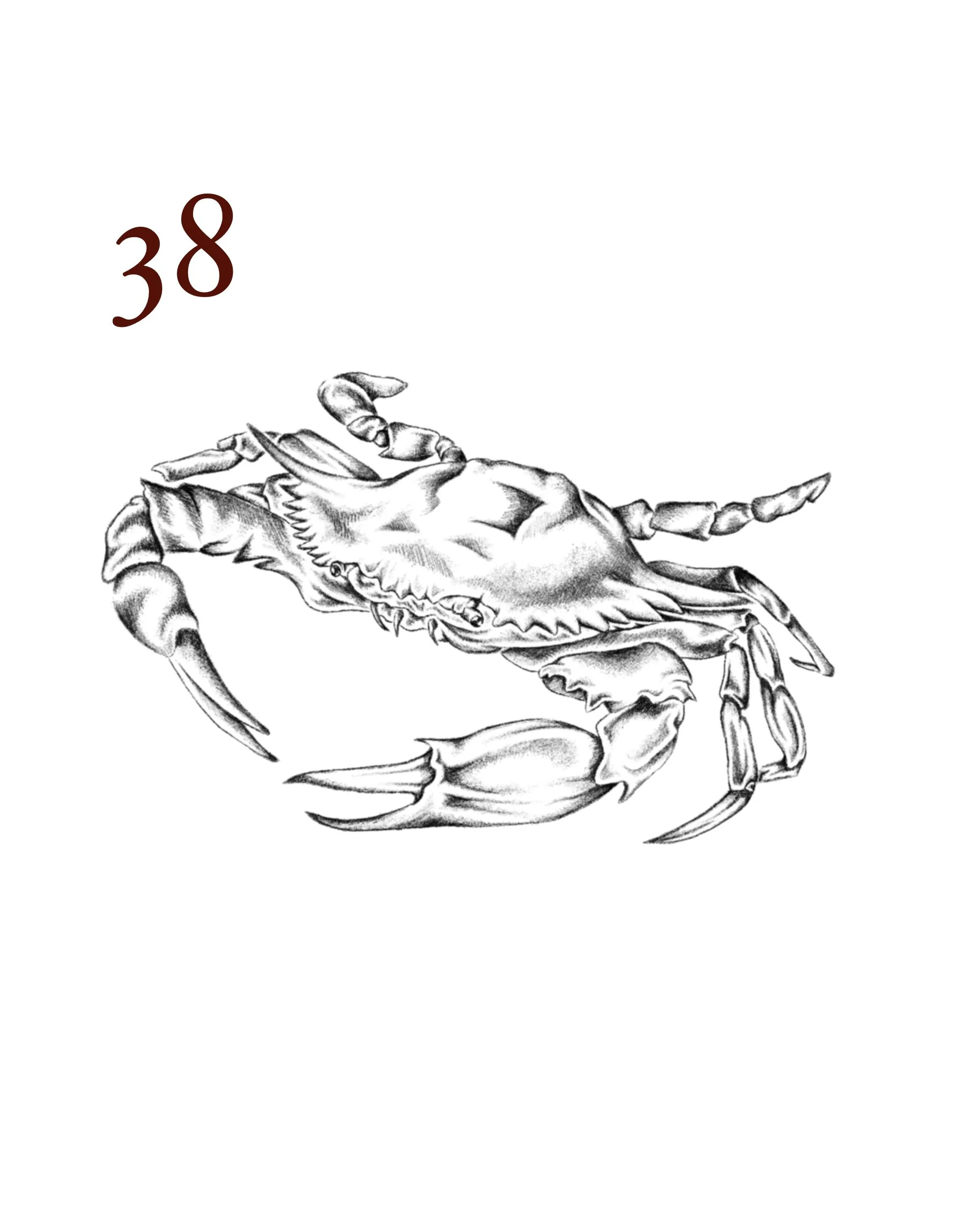 38.jpg