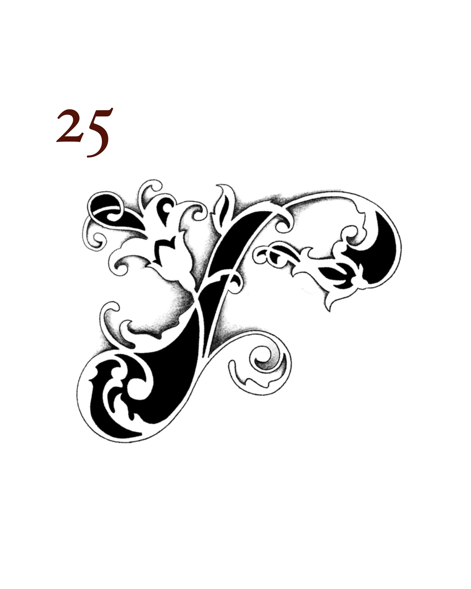25.jpg