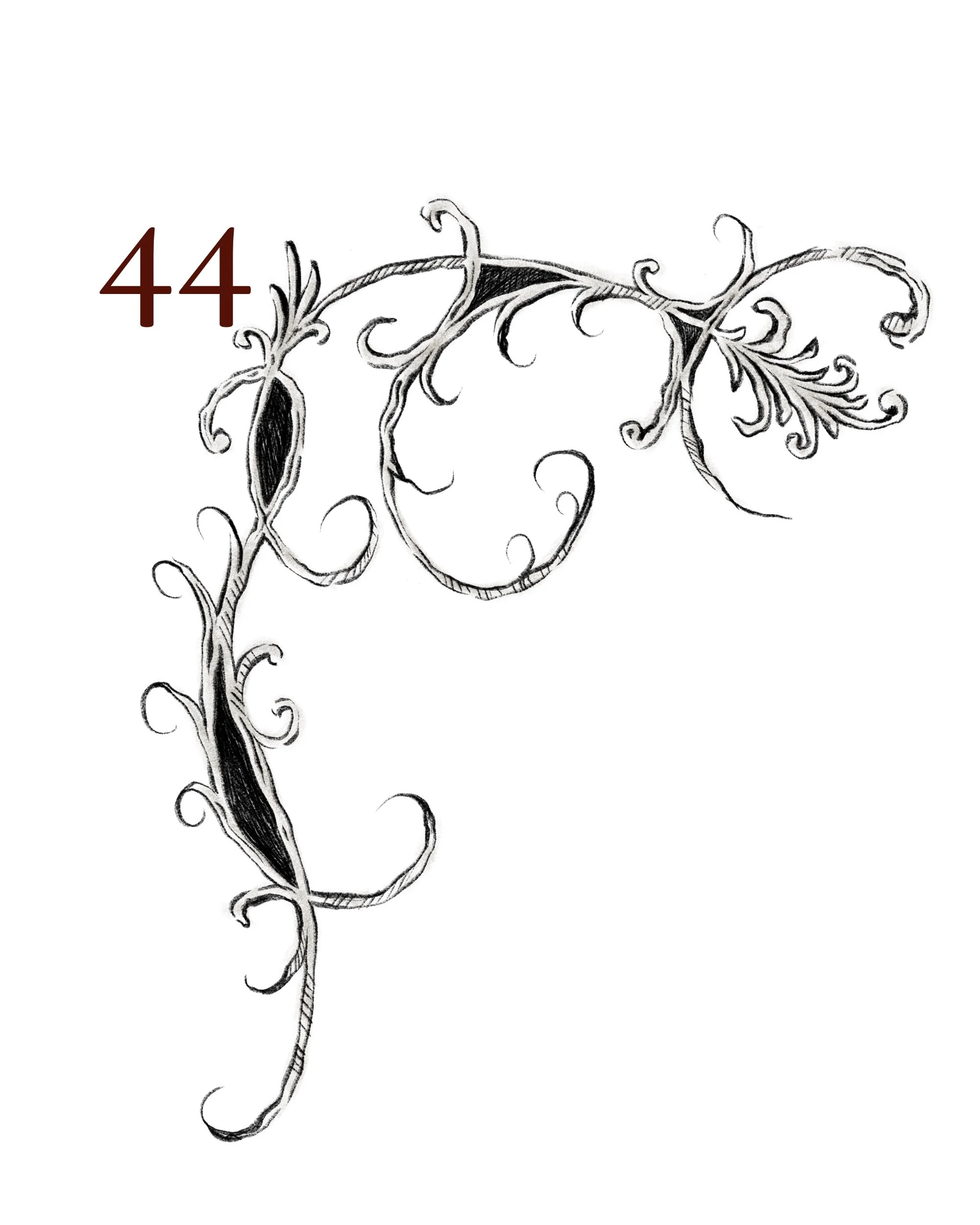 44.jpg