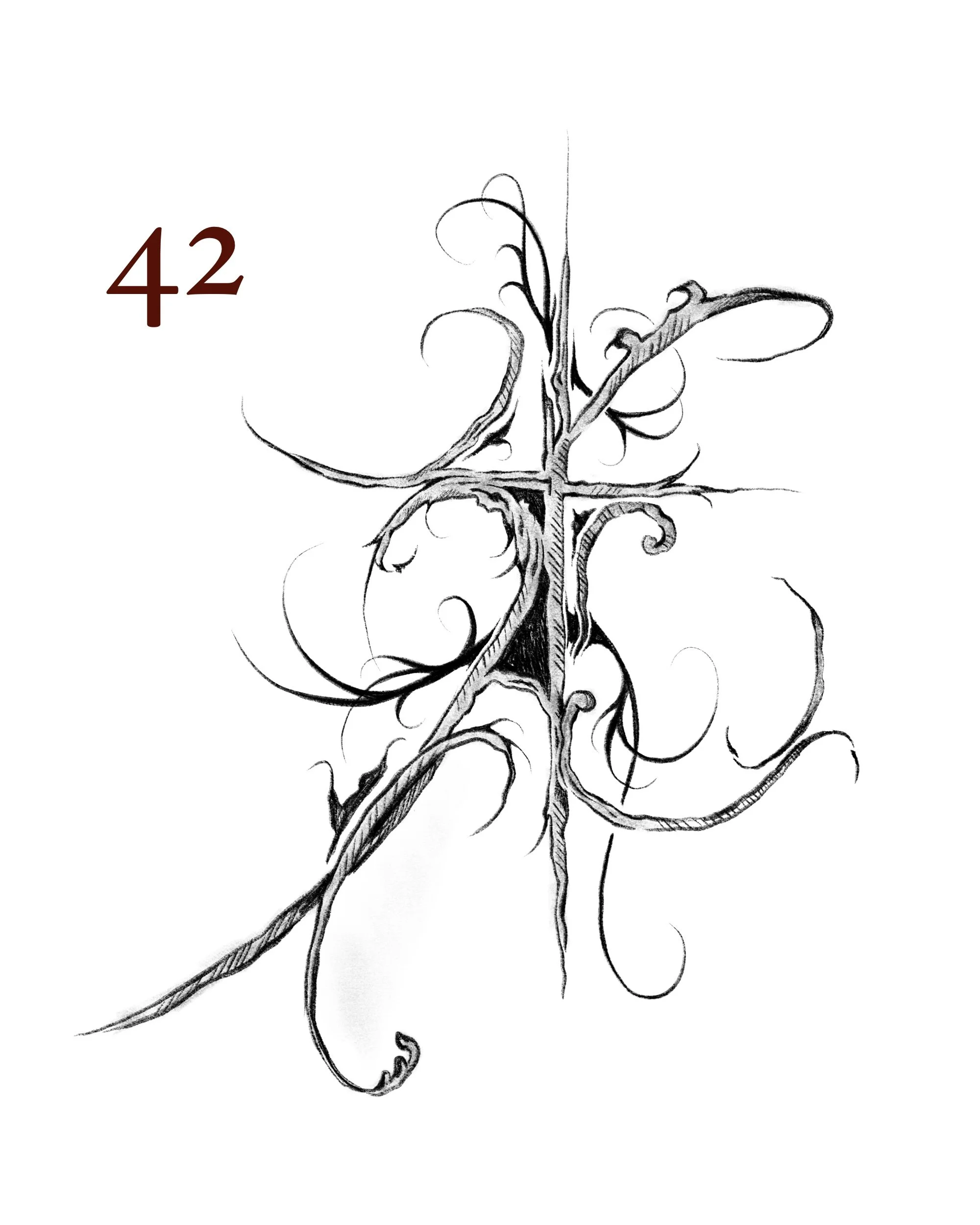 42.jpg