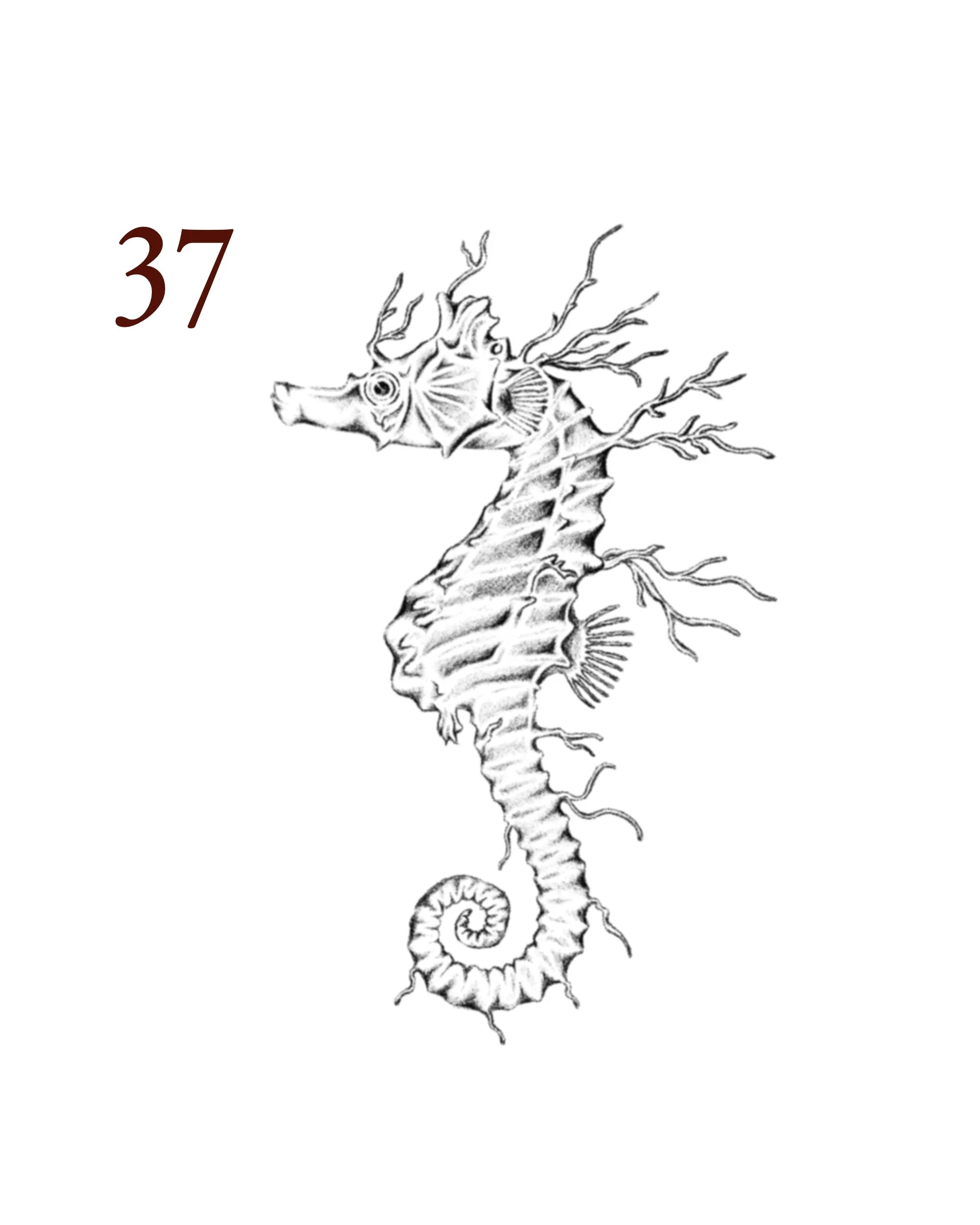 37.jpg