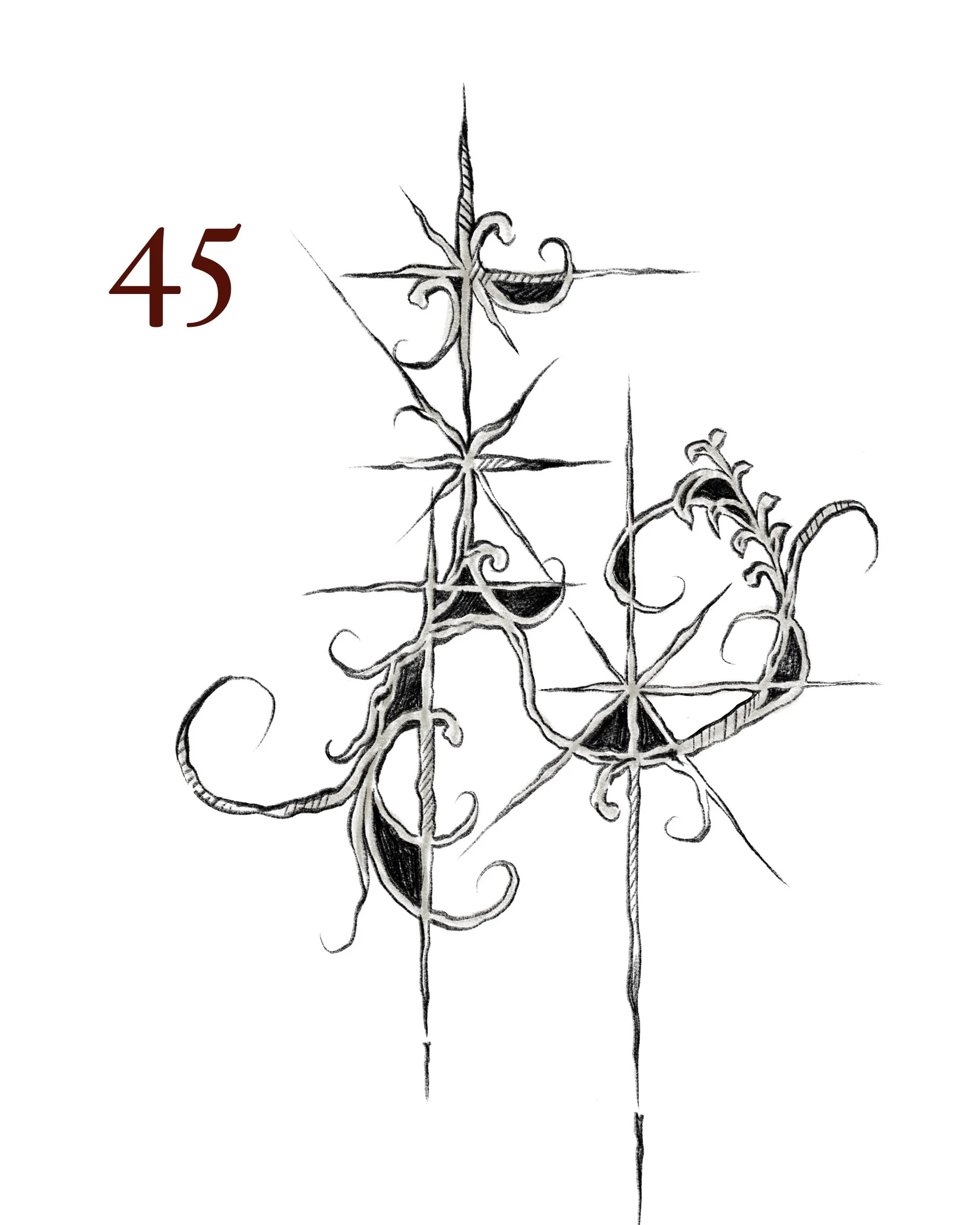 45.jpg