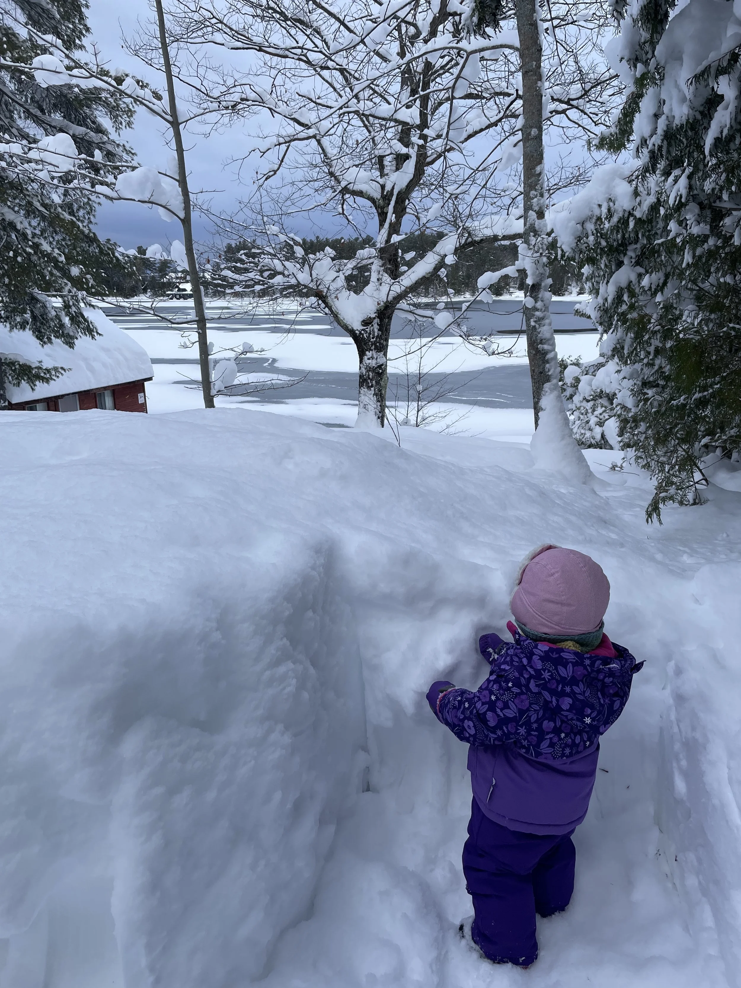 1061 View of Lake Christmas 2022.jpg