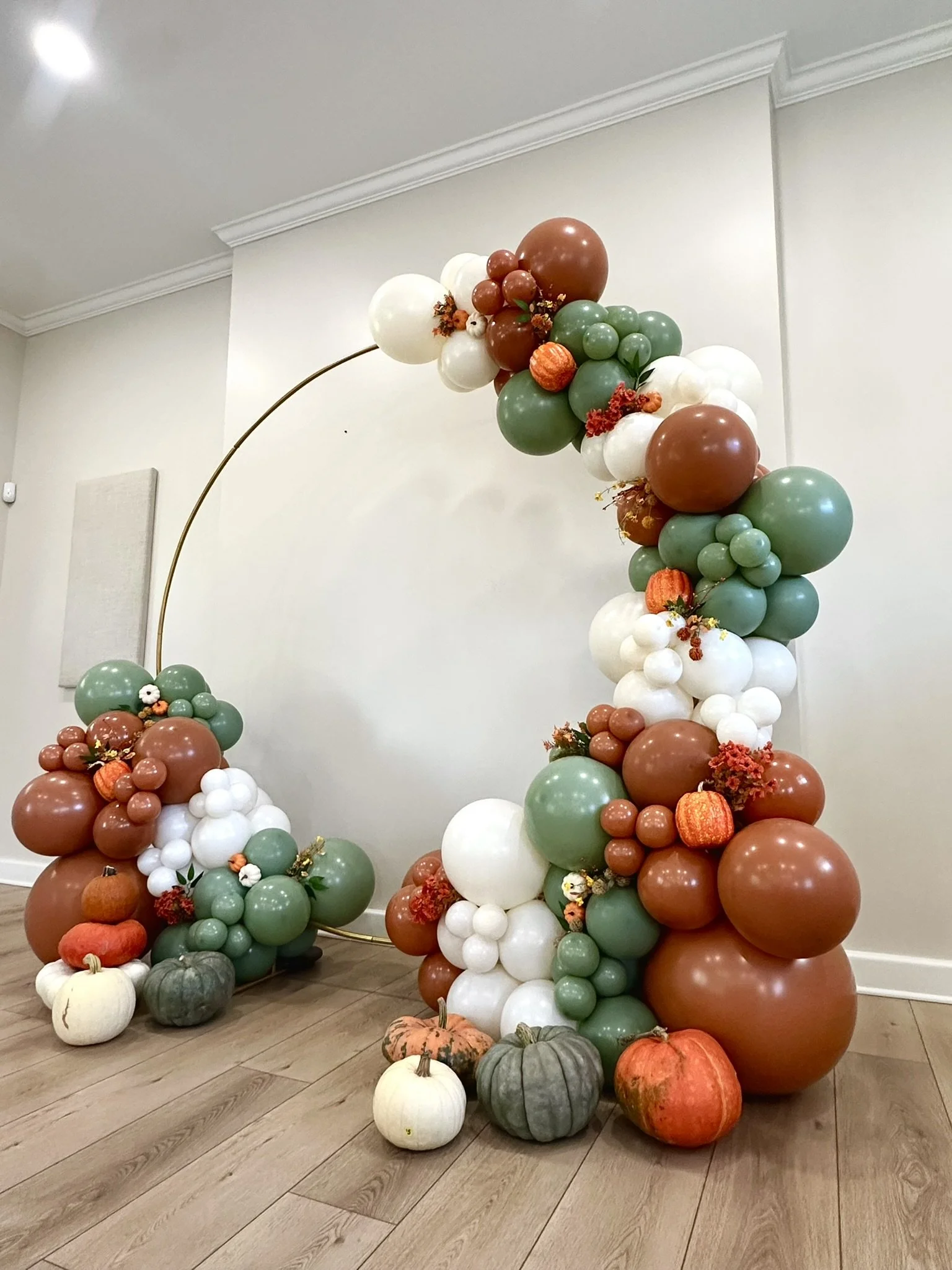 Fall balloon arch Buffalo