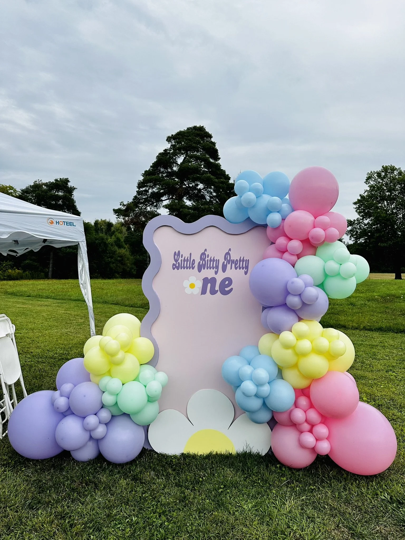 Birthday Balloon arch Buffalo