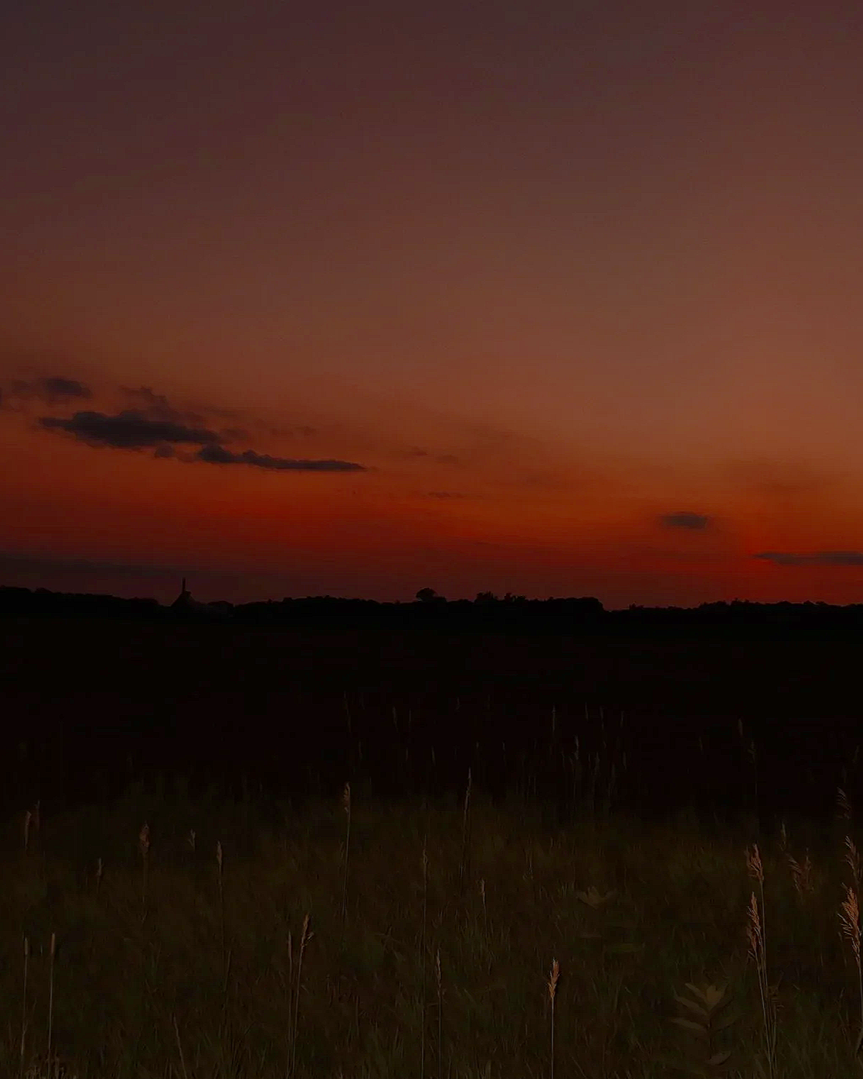 A sunset over a dark field with a silhouette of trees and clouds in the sky, exhibiting deep orange and purple hues.