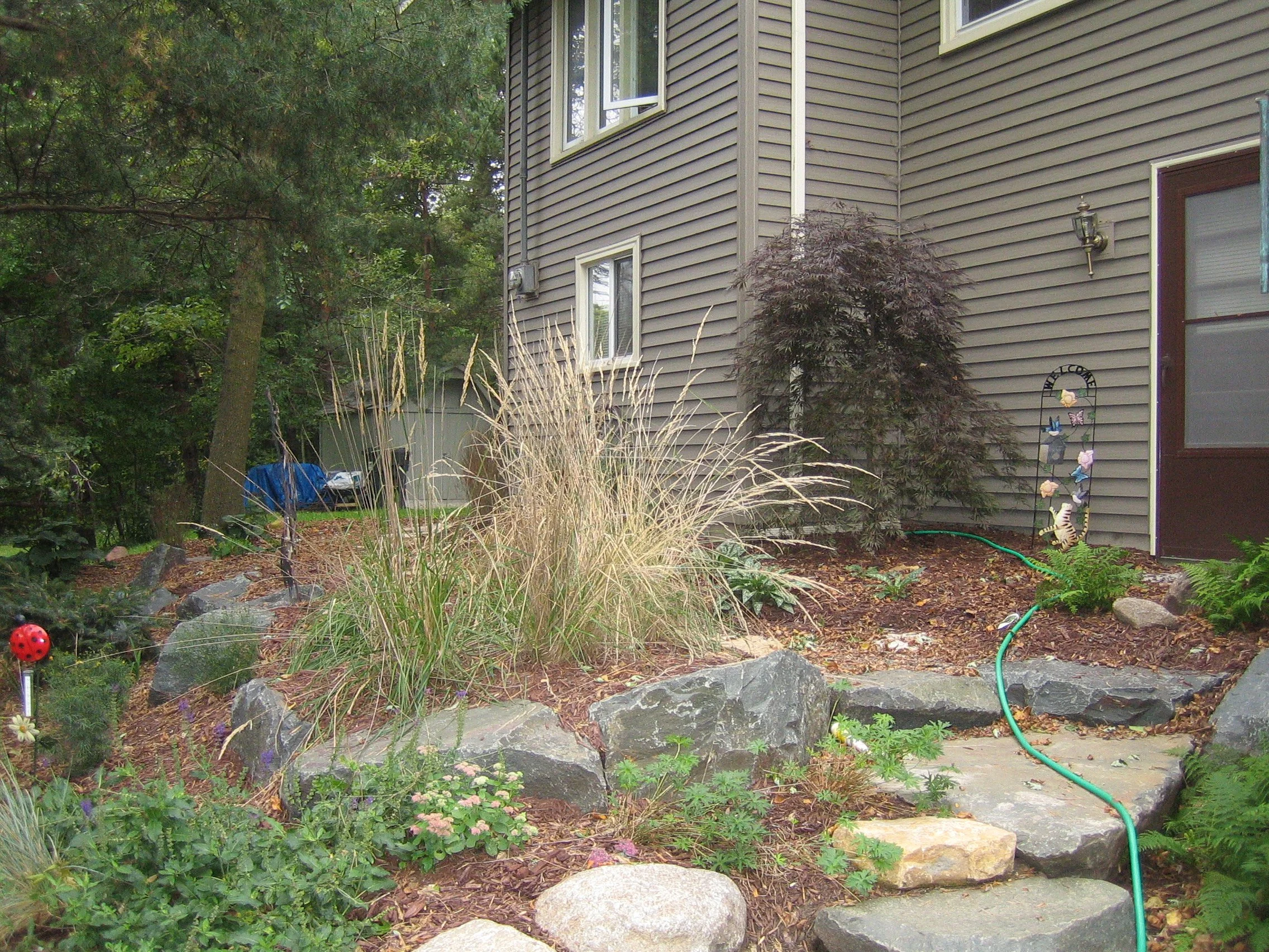 20050924_0001.JPG