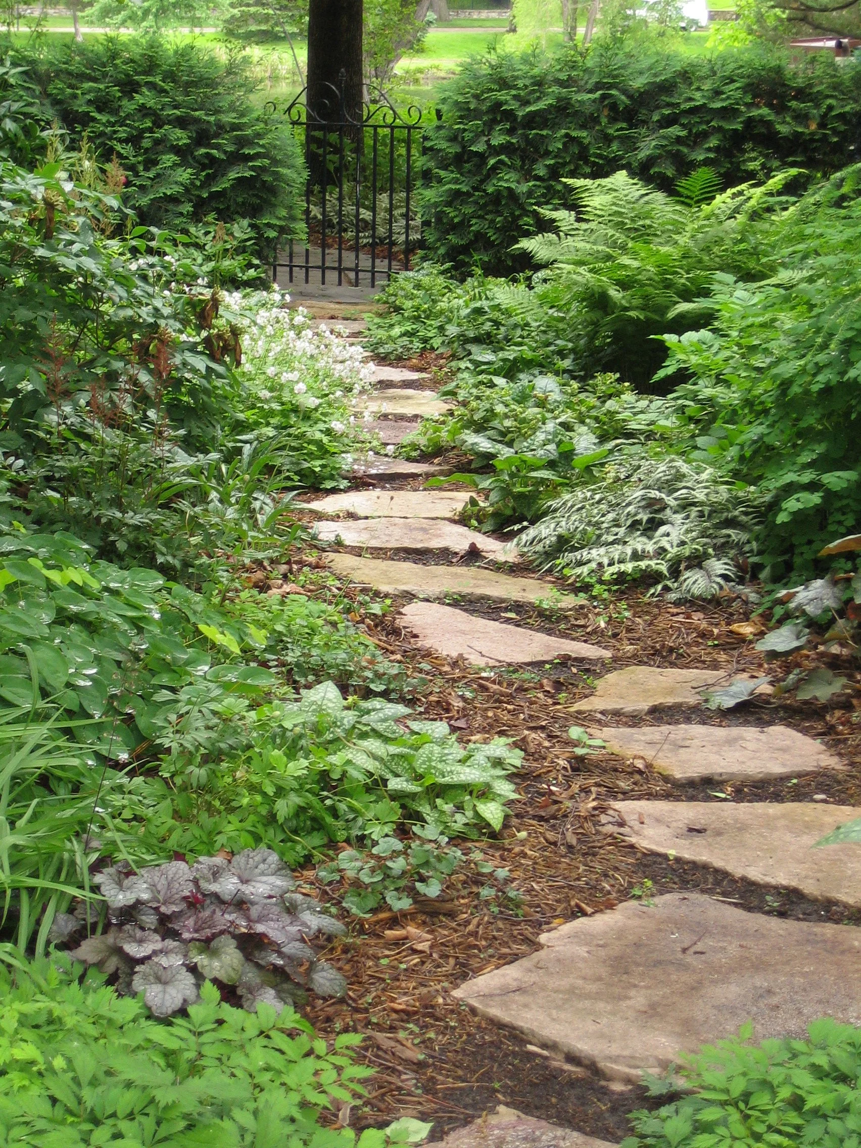 A stone pathway runs through a lush garden with various green plants and shrubs on either side, leading towards a black decorative metal gate in the background.