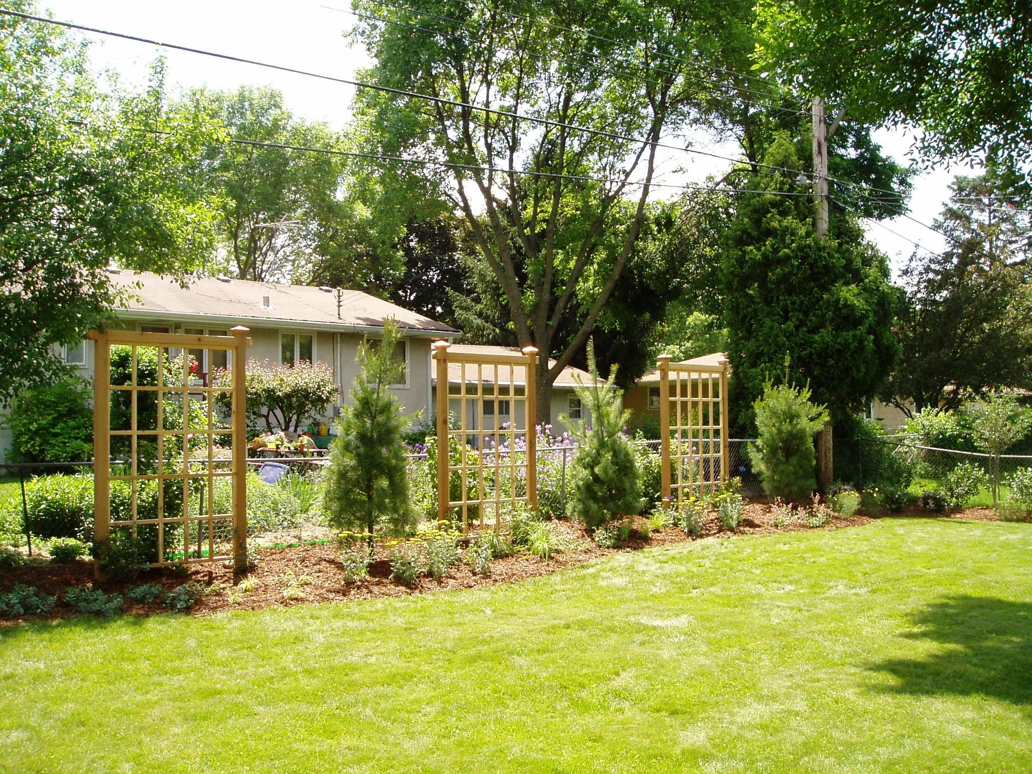 A backyard garden with three newly installed wooden arbors surrounded by recently planted flower beds and shrubs, a well-manicured lawn,  and a house with windows in the background. Tall trees and utility wires are visible in the background.