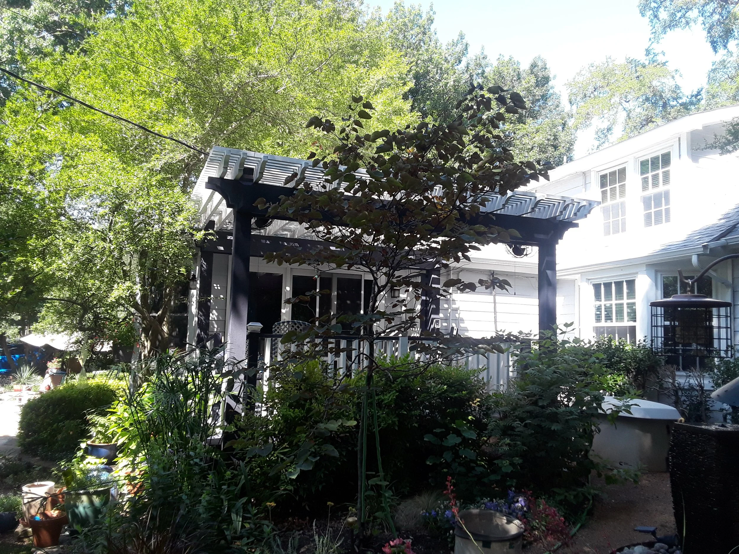 20200606_104405.jpg