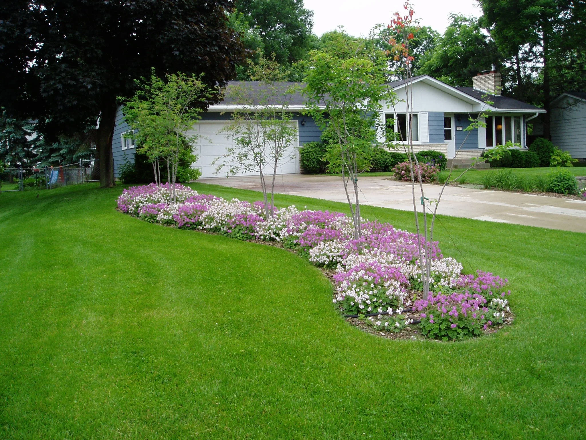 A suburban house surrounded by a well-maintained lawn and a flower bed with pink and white flowers, and small trees in the front yard. Has blue siding, a white garage door, and a gray roof.