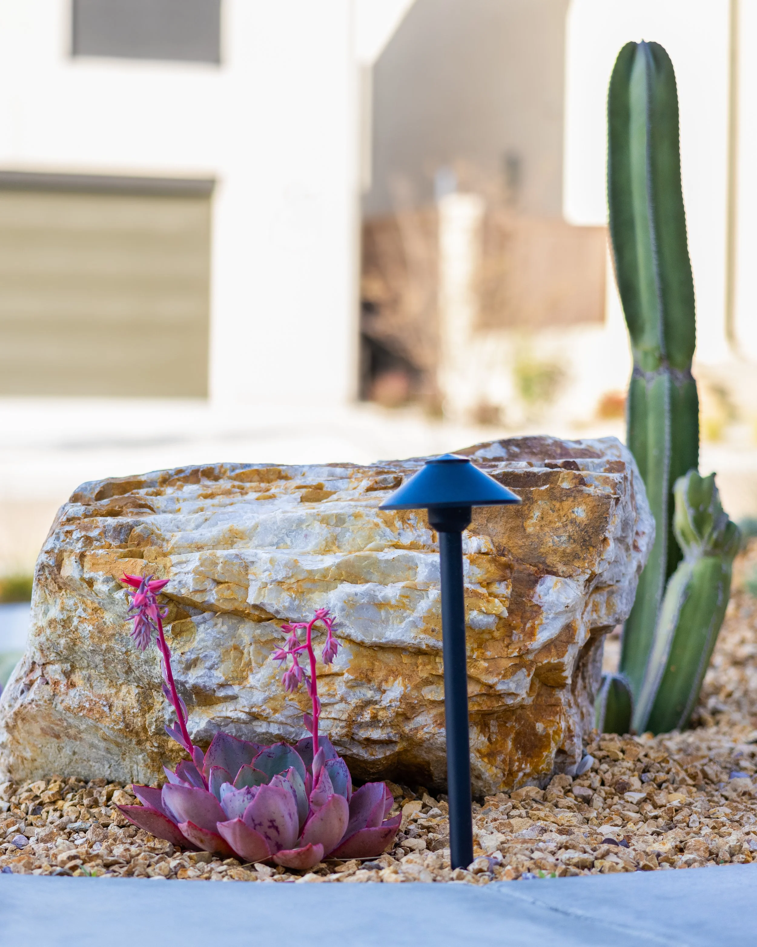 Close-up of a succulent plant with pink and purple leaves, a large white and orange rock, a tall green cactus, and a decorative blue garden stake, in a desert-style garden.