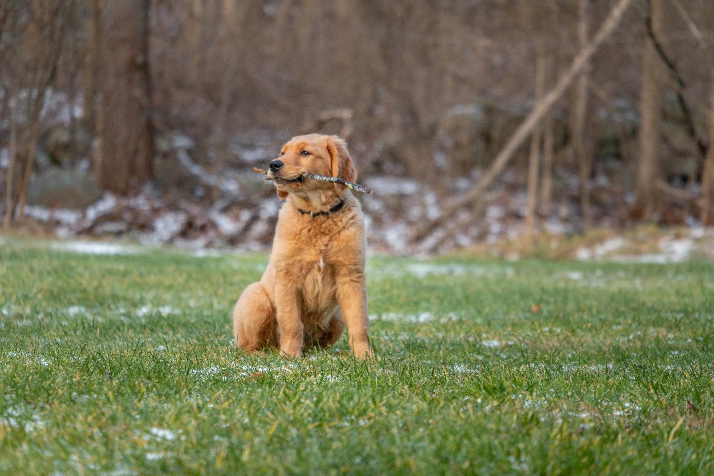 20201226-_MG_7544.JPG