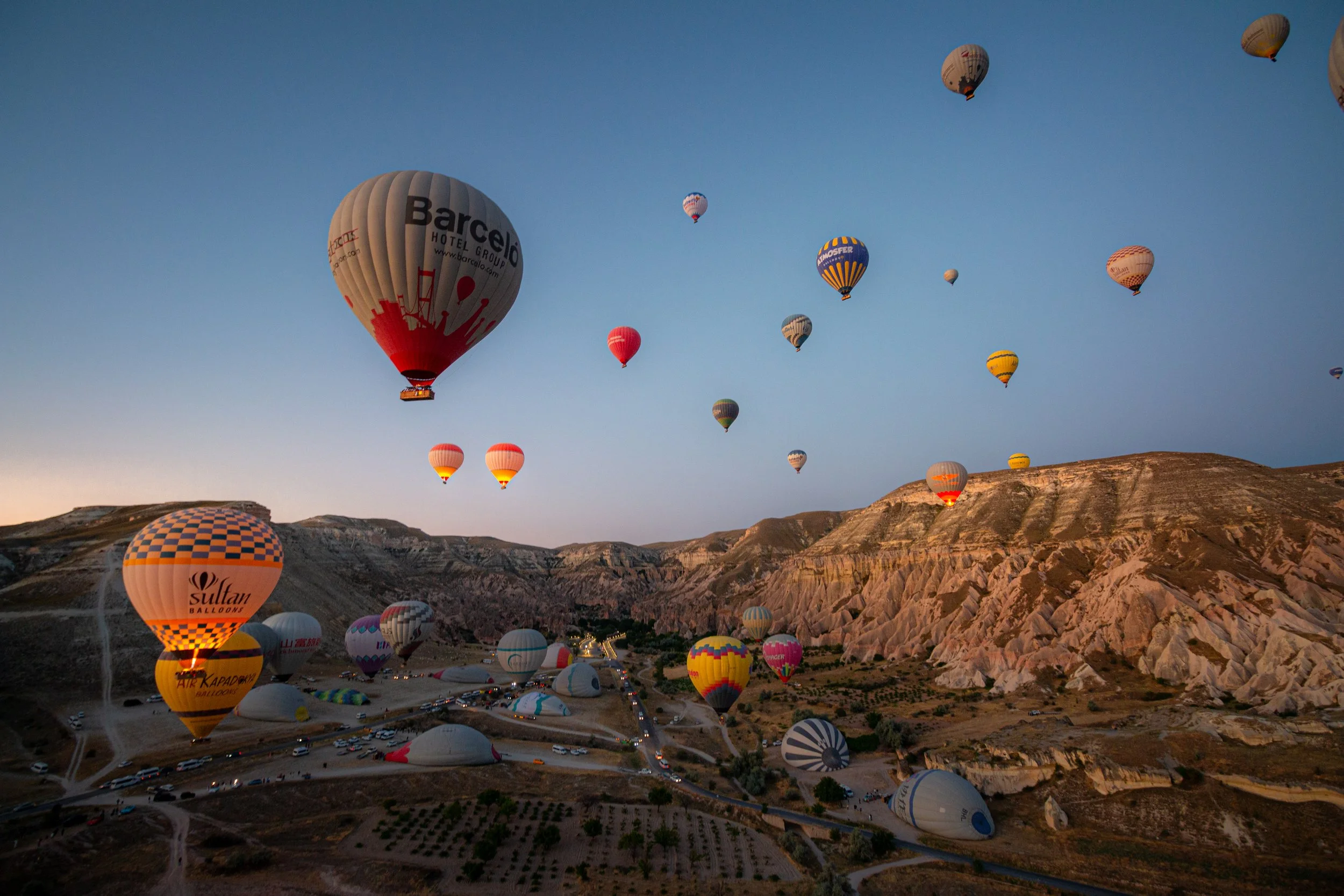 _MG_4478.jpg