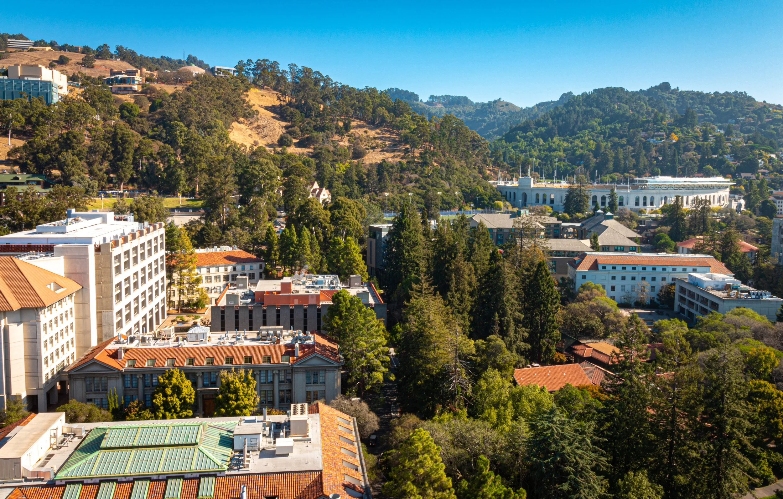 20191103-_MG_6981.JPG