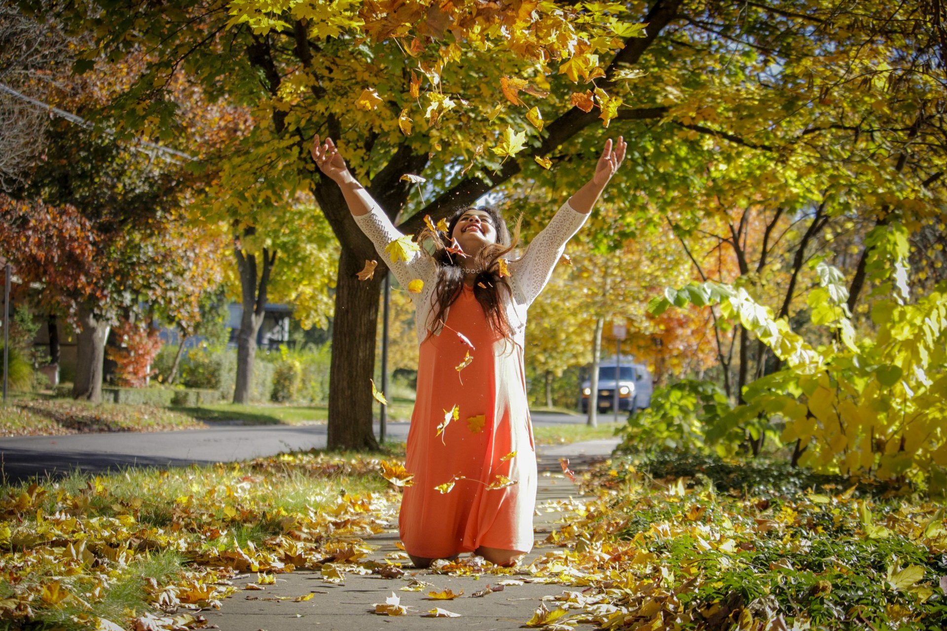 20241025110915__MG_3742.jpg