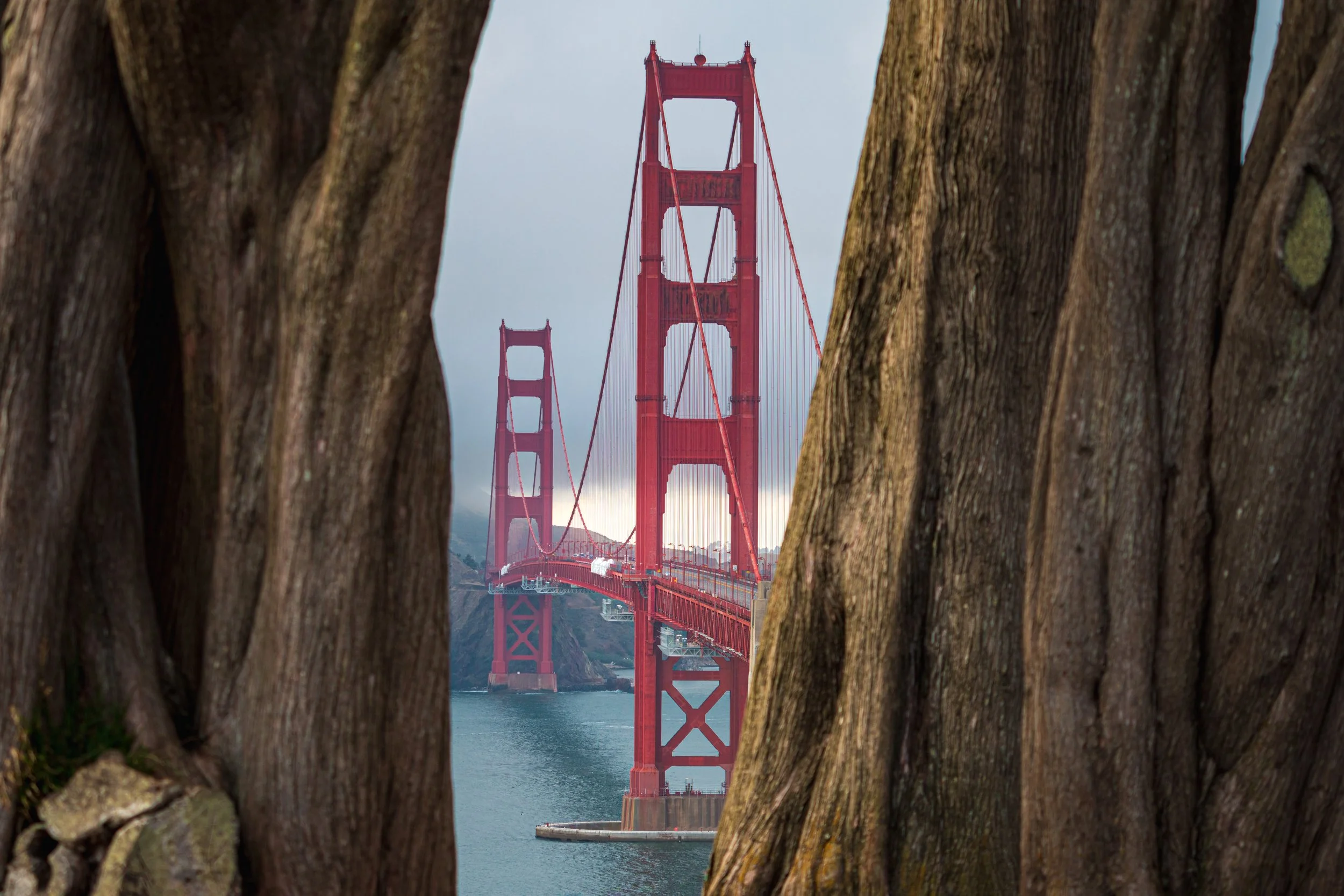 GG_bridge_trees.JPG