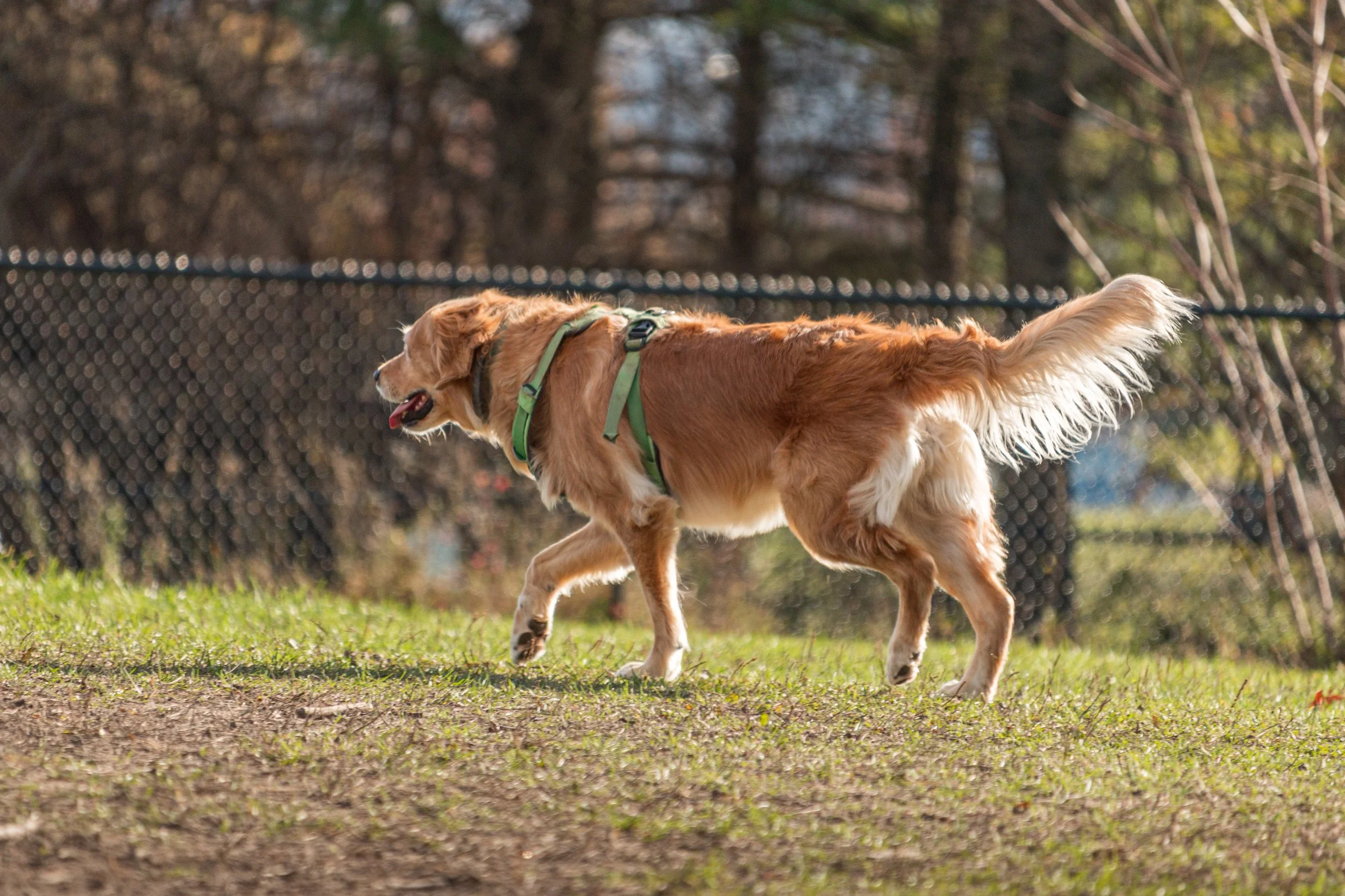 _MG_5863.jpg