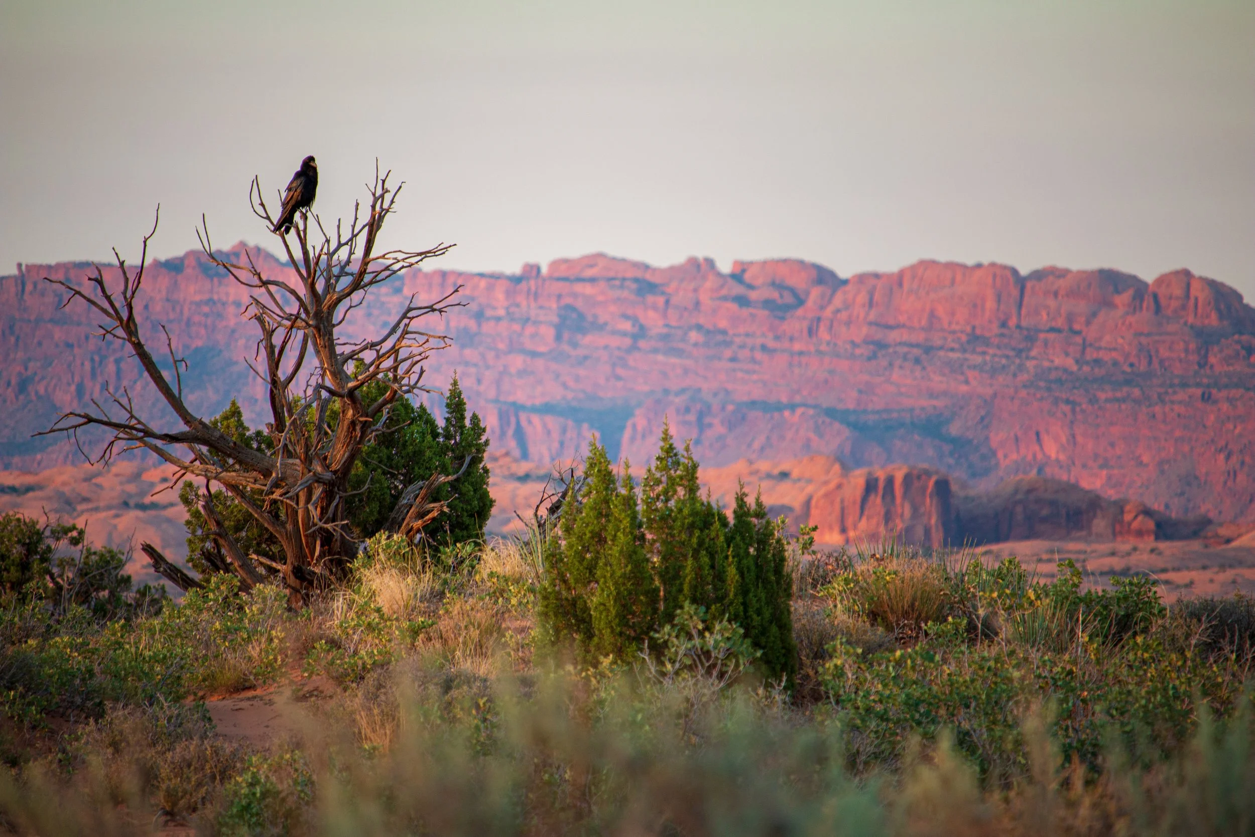Arches National Park, Utah