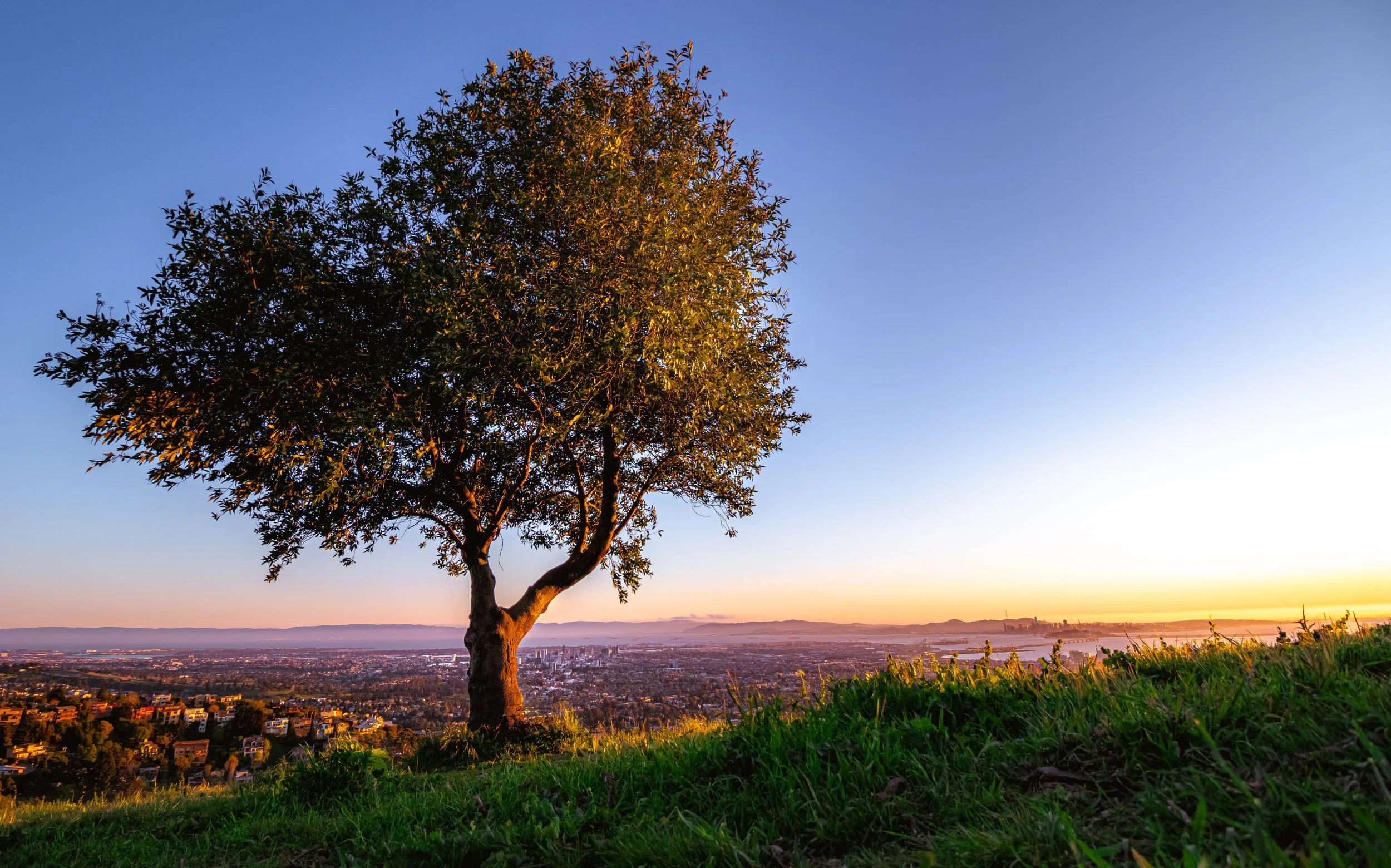 Bay Area, California
