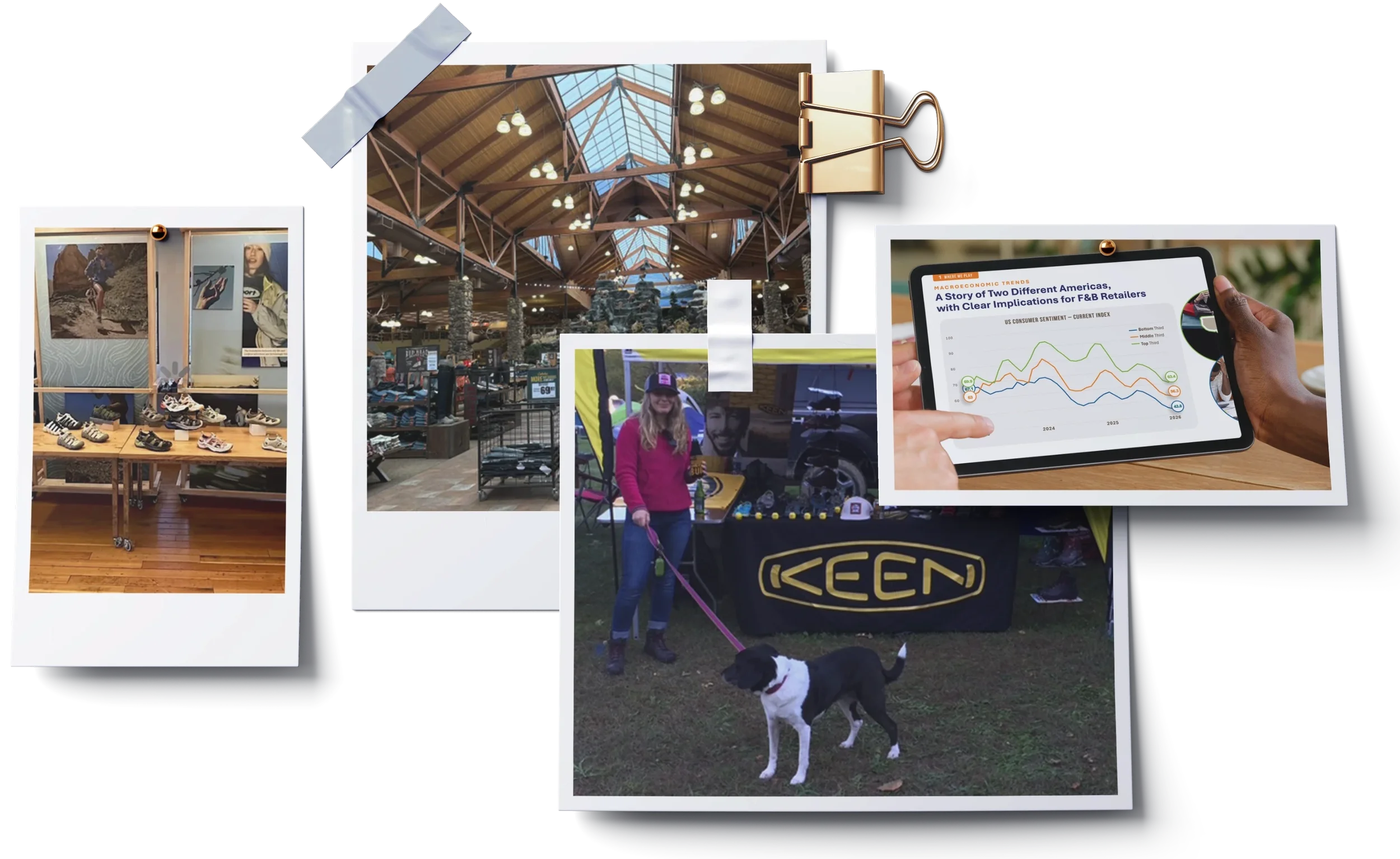 Collage of multiple photos including indoor shopping area with high wooden ceiling, a woman with a dog at an outdoor event, someone comparing graphs on a tablet, and a display of shoes with art posters.