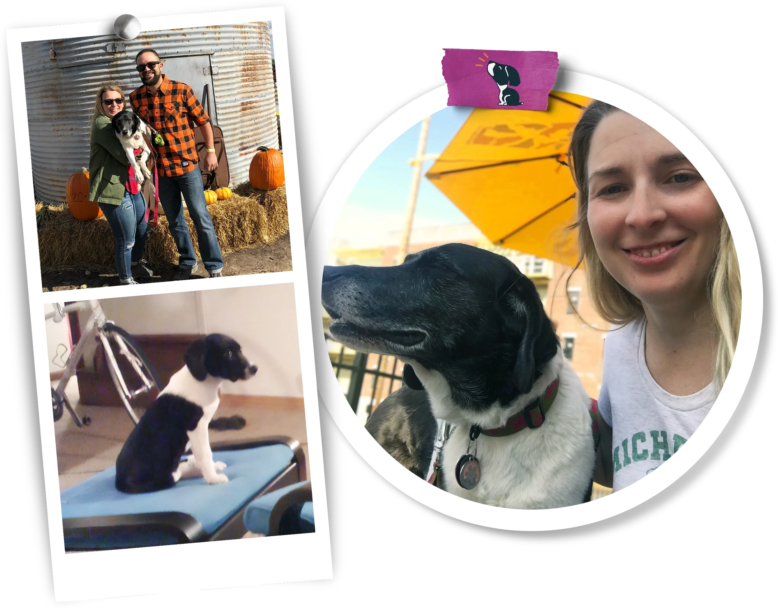 A collage of photos featuring Lizzie and Story, including Lizzie holding Story at a pumpkin patch, a puppy Story sitting on a chair ottoman, and Lizzie and Story sitting outside in front of a yellow umbrella.