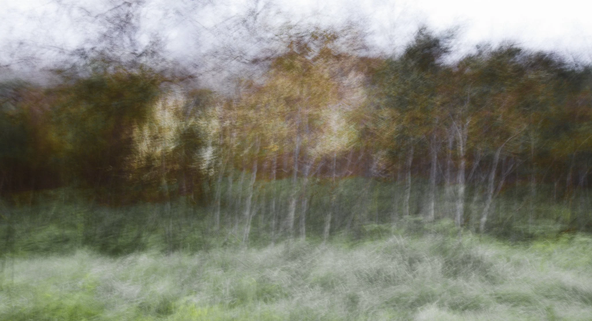 045-365_-5205.jpg