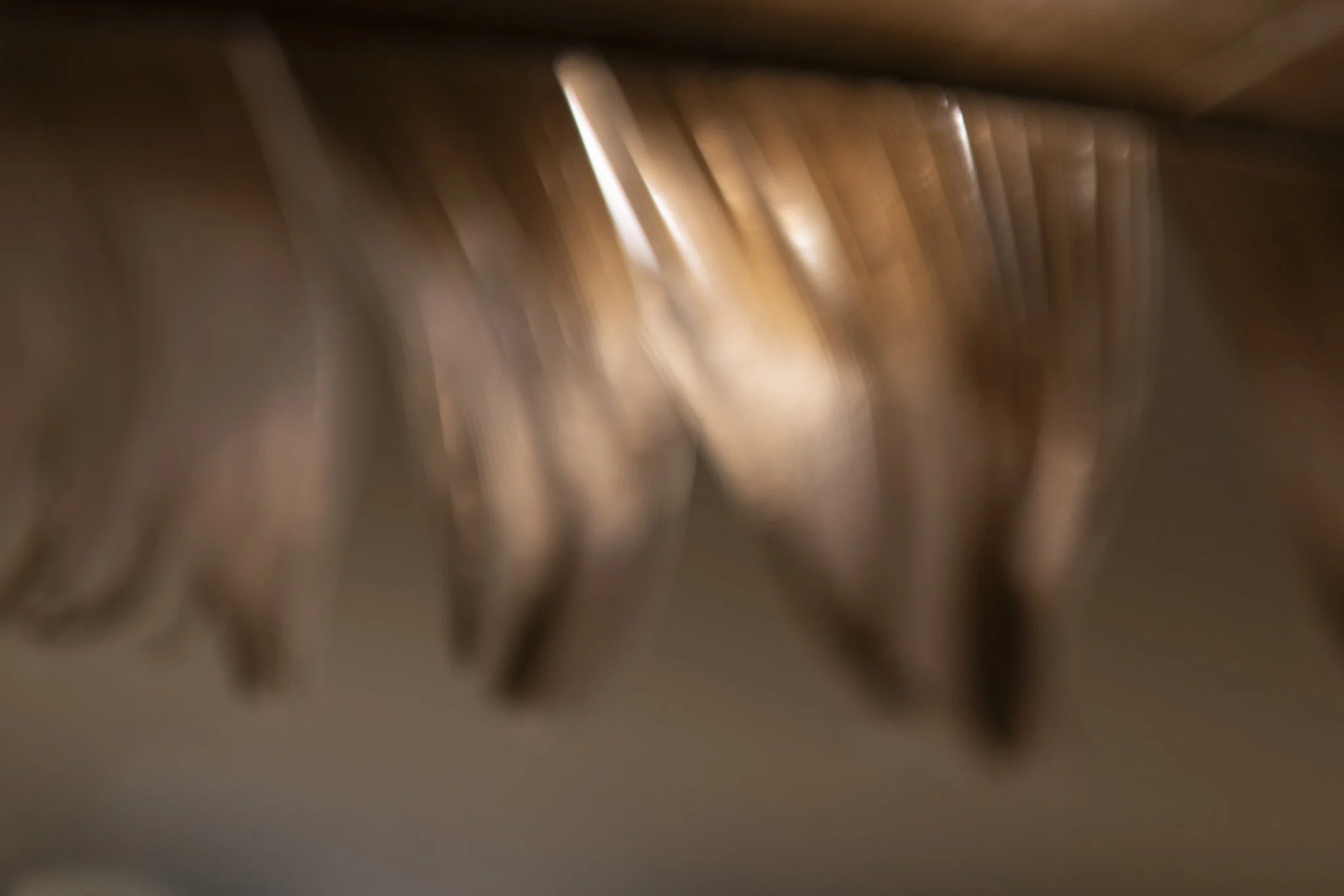 000-365_-5915.jpg
