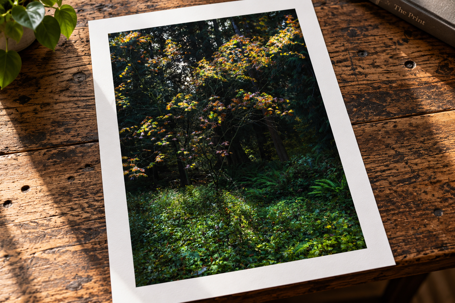 The Print