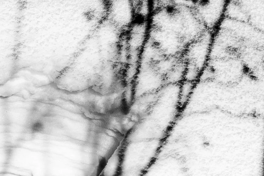 Untitled-6-of-12.jpg