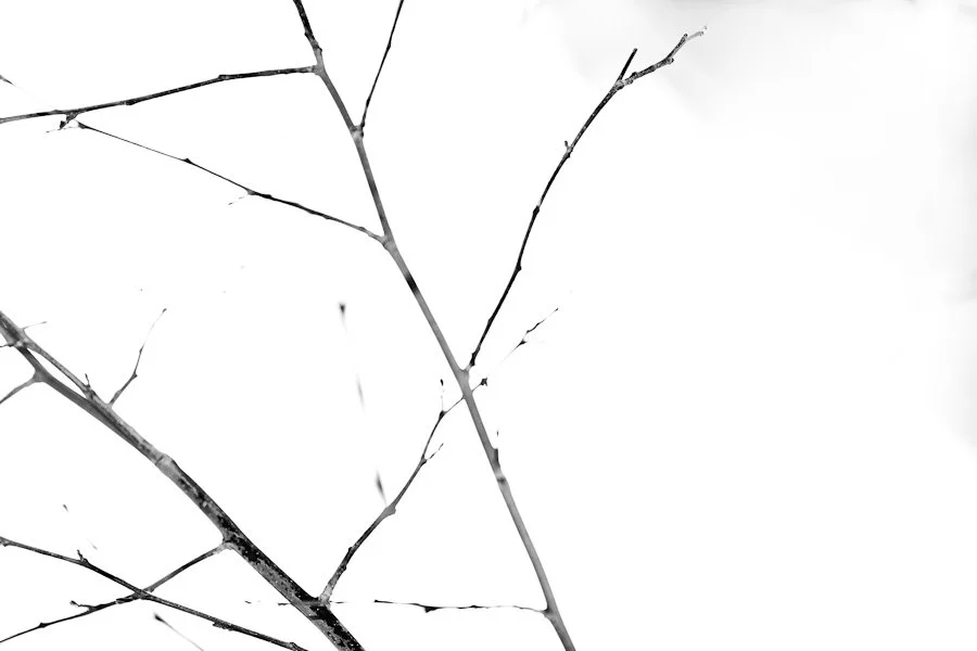 Untitled-3-of-12.jpg