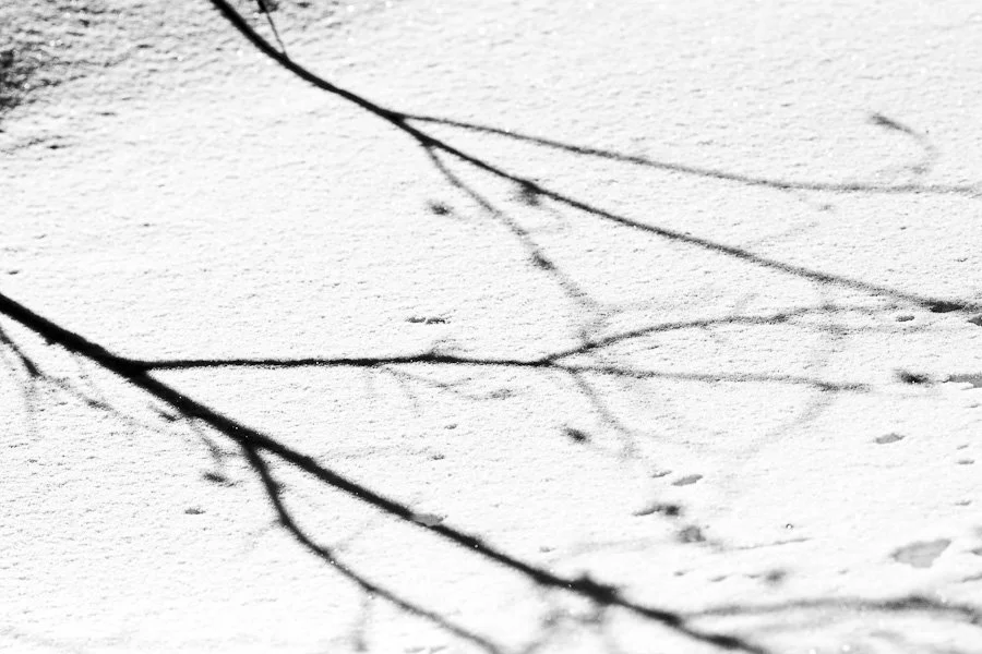 Untitled-11-of-12.jpg