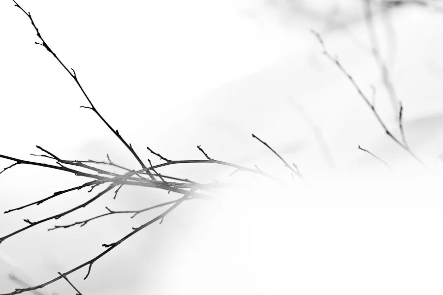 Untitled-1-of-12.jpg